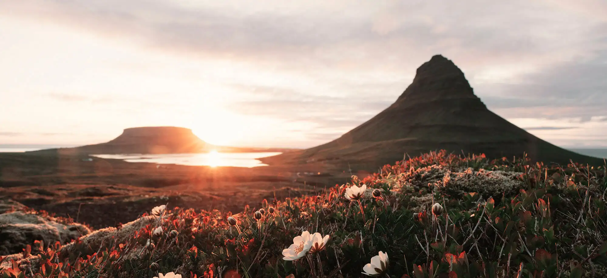 image-viajar-a-islandia-sol-de-medianoche-g3.webp - Pangea Viajes