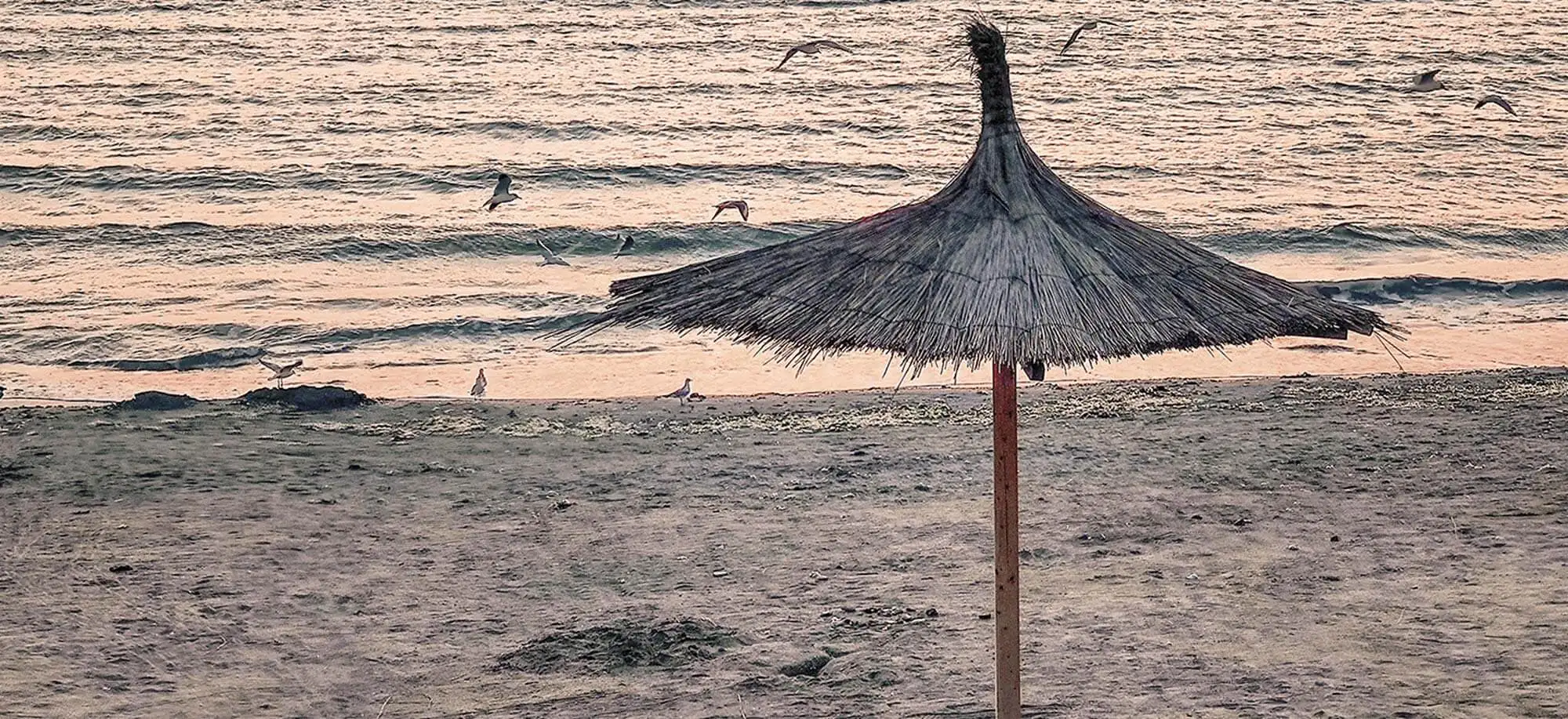 image-viajar-a-islas cook-mangaia-g-1.webp - Pangea Viajes