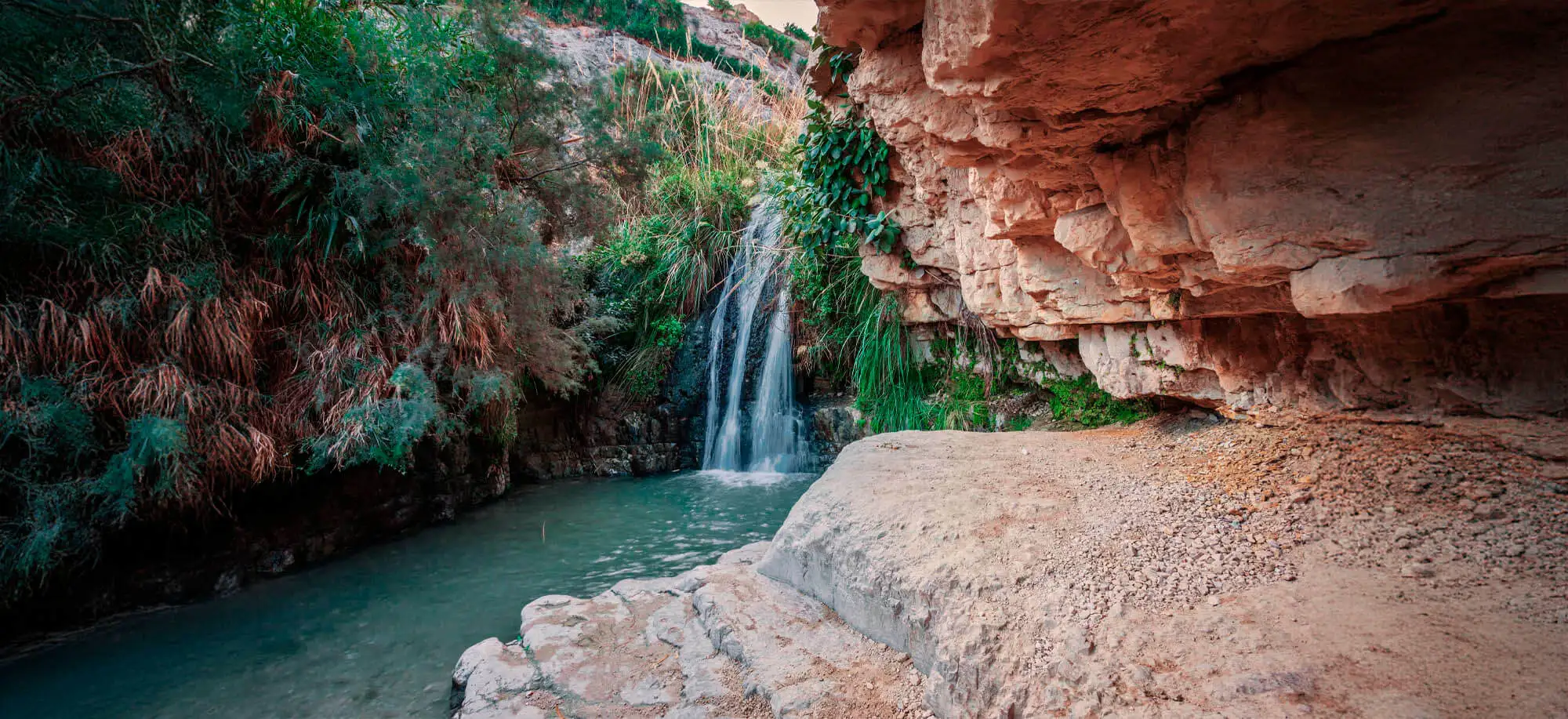 image-viajar-a-israel-balnearios-del-mar-muerto-g-3.webp - Pangea Viajes