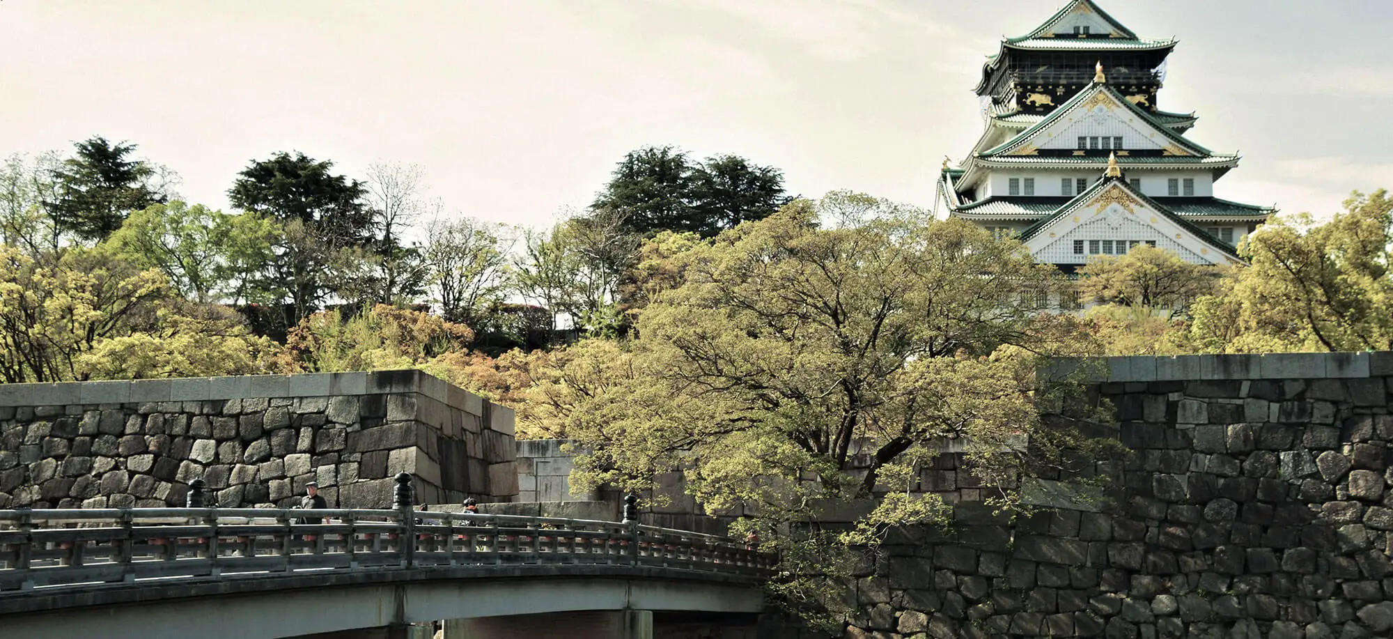 image-viajar-a-japon-camino-kumano-g2.webp - Pangea Viajes