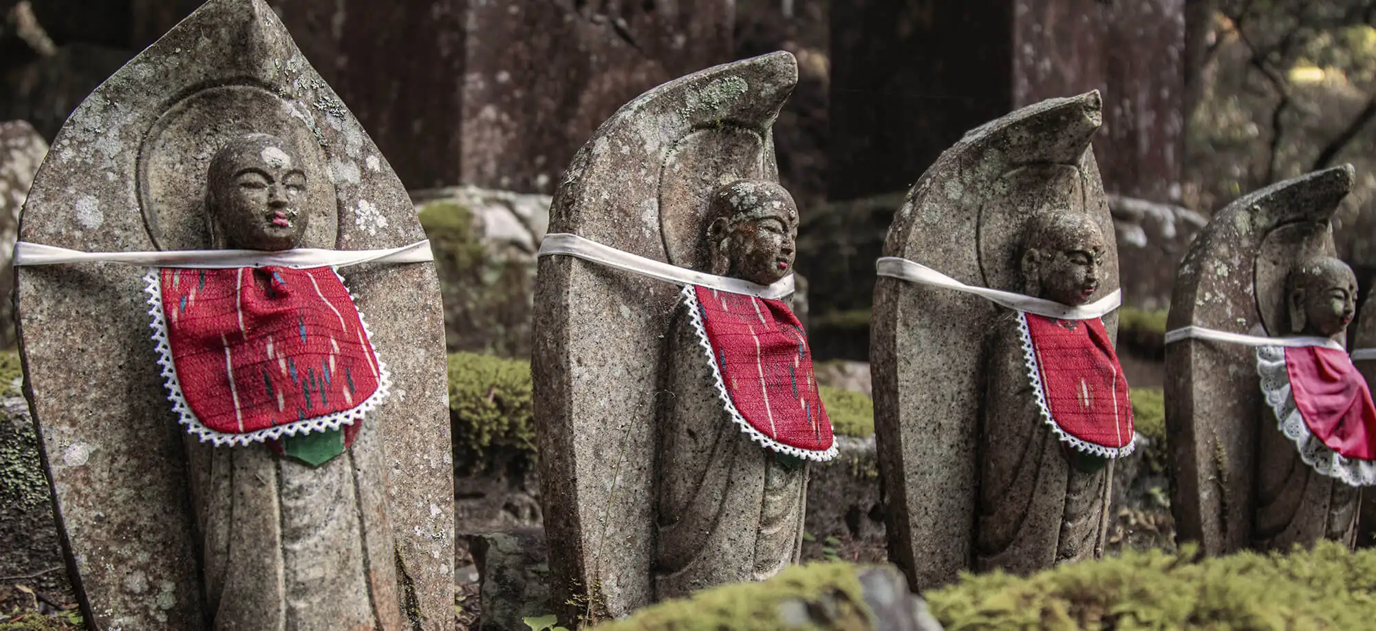 image-viajar-a-japon-camino-kumano-g3.webp - Pangea Viajes