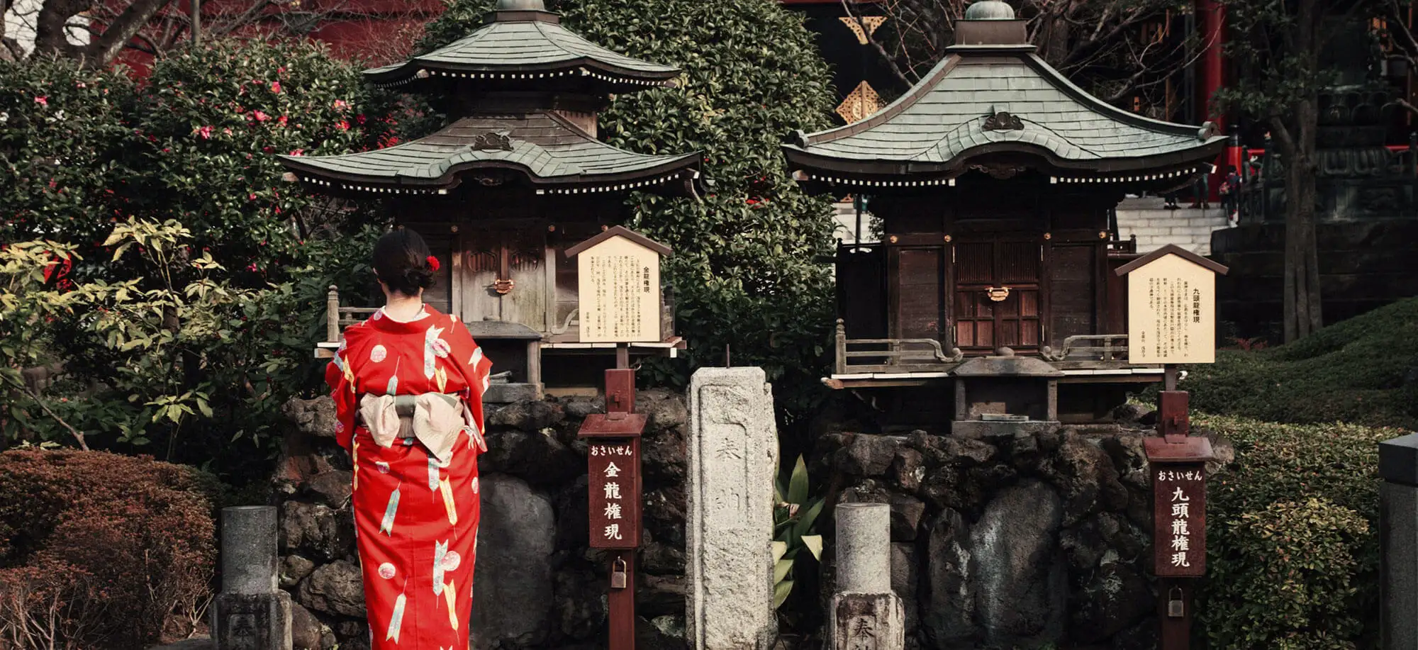 image-viajar-a-japon-geishas-y-samurais-g3.webp - Pangea Viajes