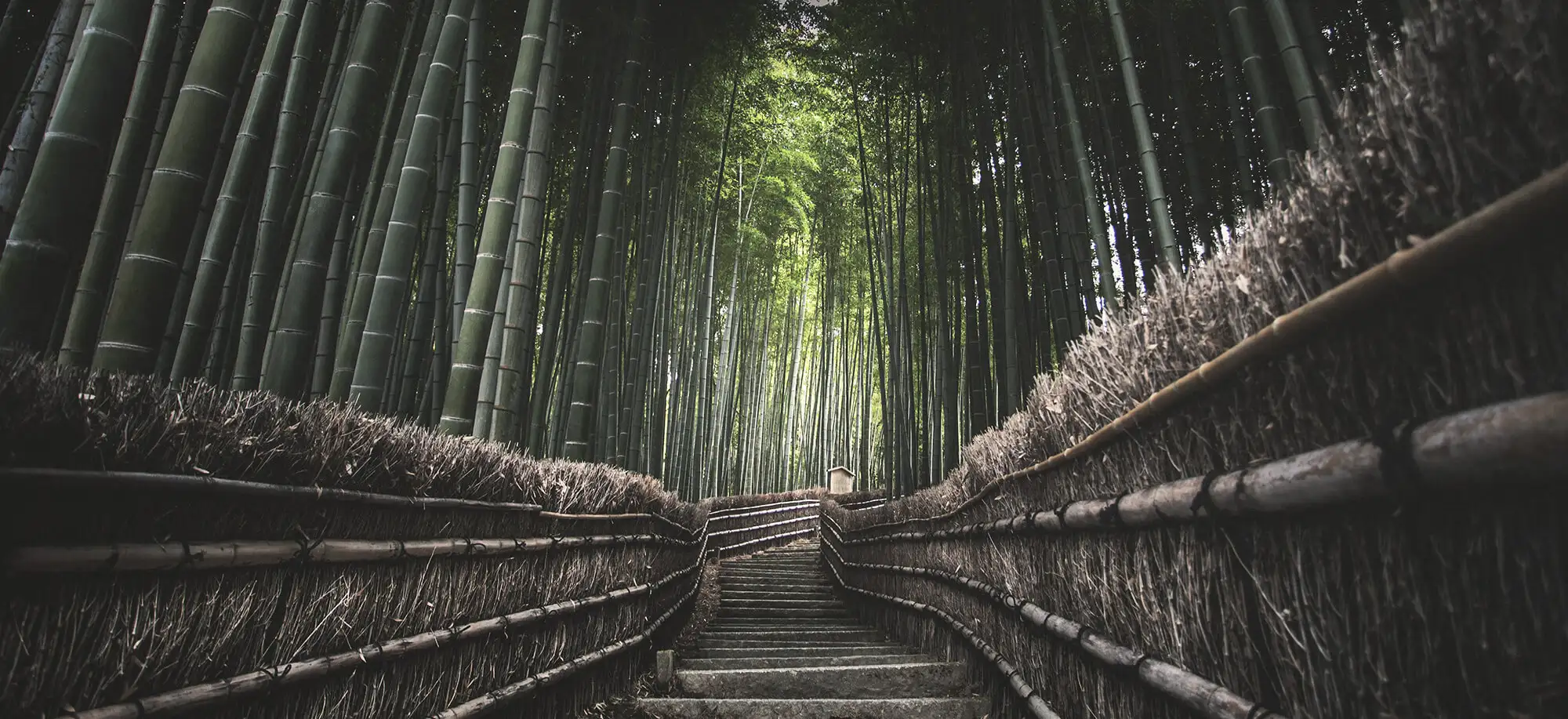 Viatges a Kyoto