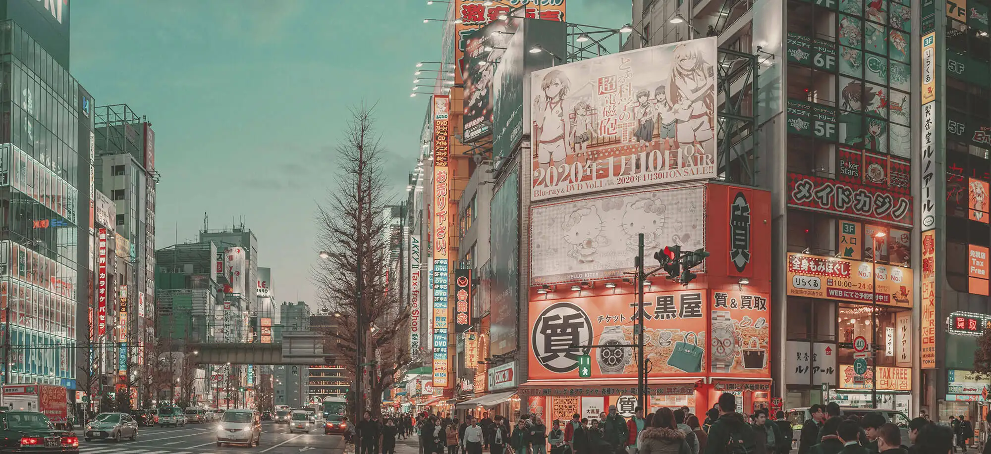 image-viajar-a-japon-tokio-g2.webp - Pangea Viajes