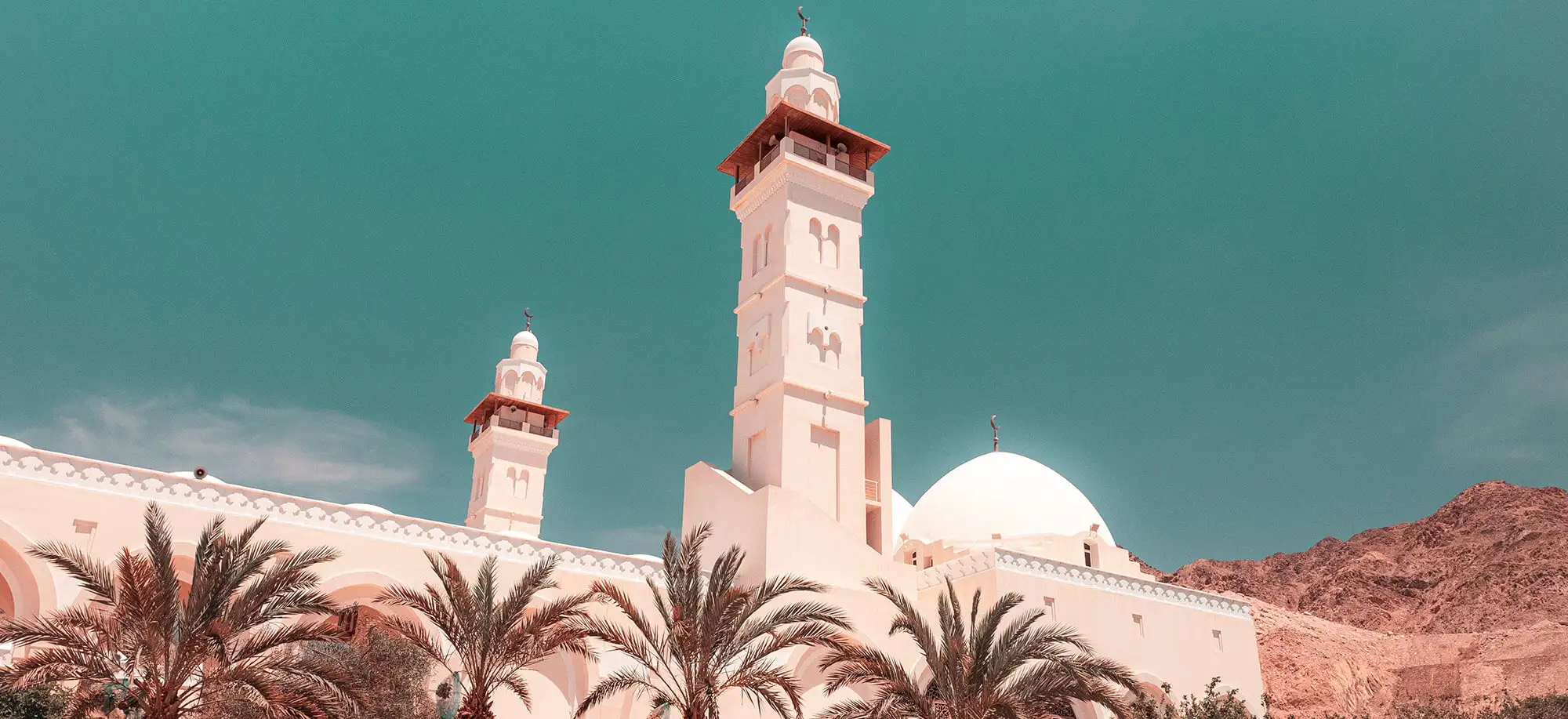 image-viajar-a-jordania-aqaba-g3.webp - Pangea Viajes