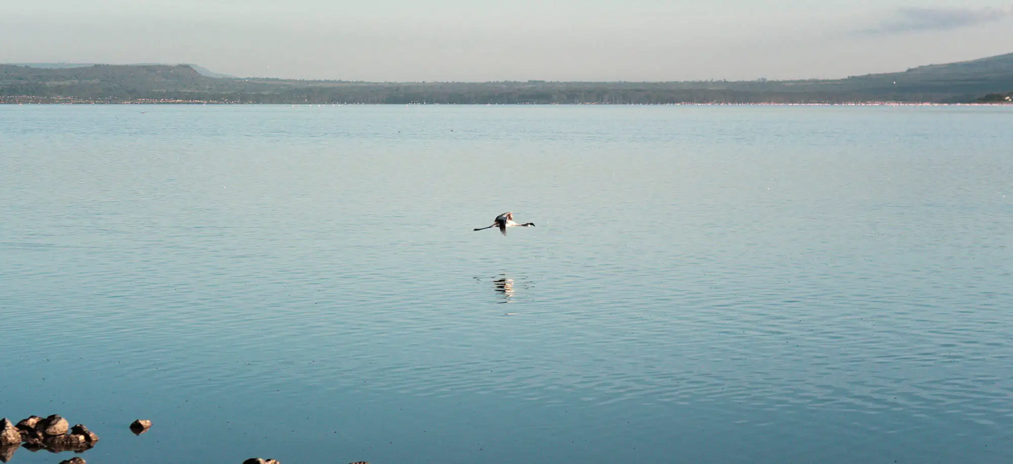 image-viajar-a-kenia-lagos-naivasha-y-nakuru-g1.webp - Pangea Viajes