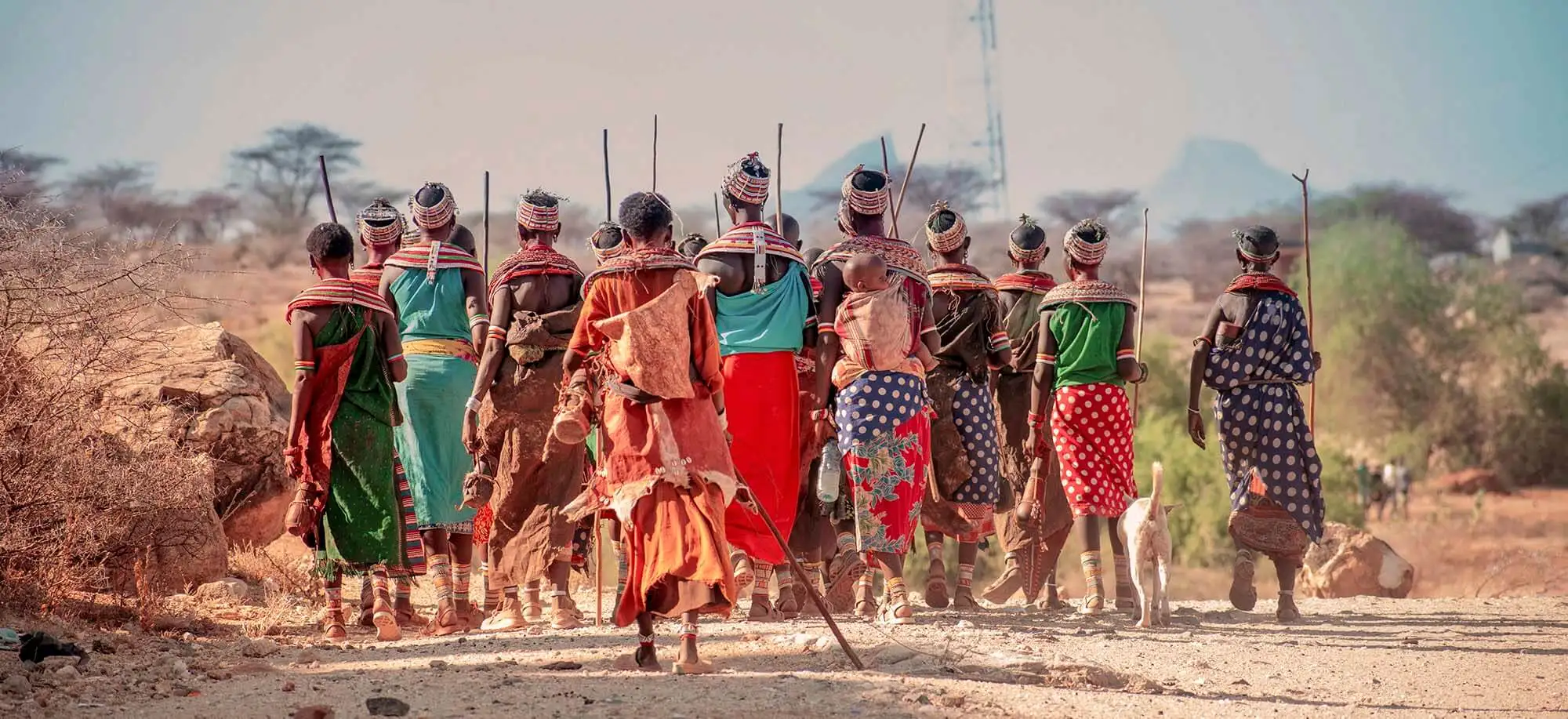 image-viajar-a-kenia-samburu-g2.webp - Pangea Viajes