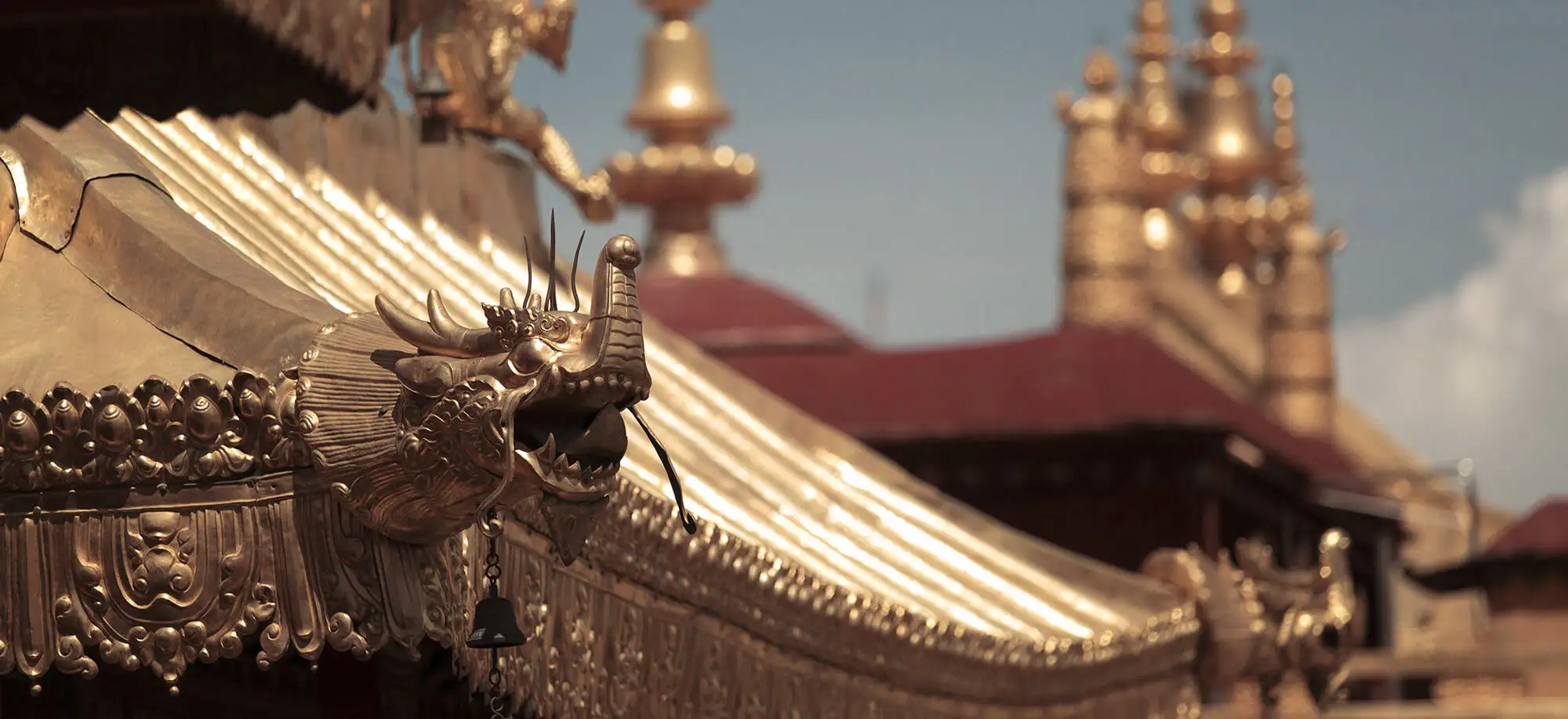 image-viajar-a-lasha-g3.webp - Pangea Viajes