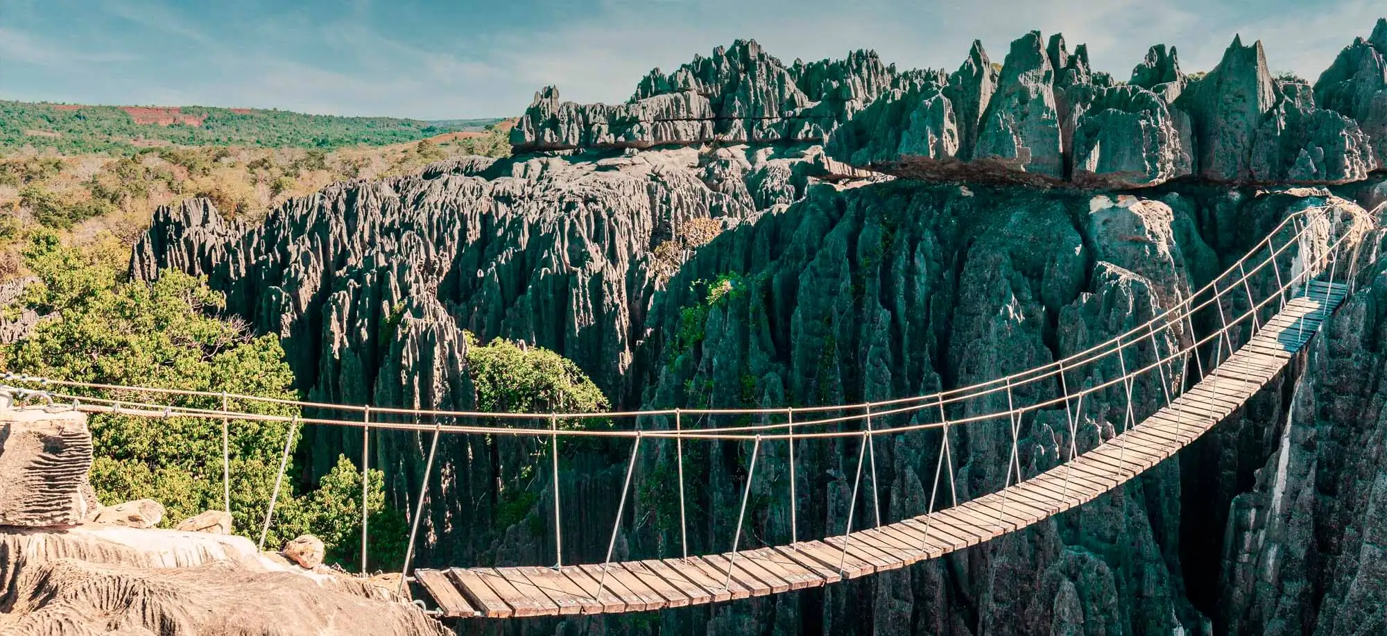 image-viajar-a-madagascar-tsingys-de-bemaraha-g-2.webp - Pangea Viajes