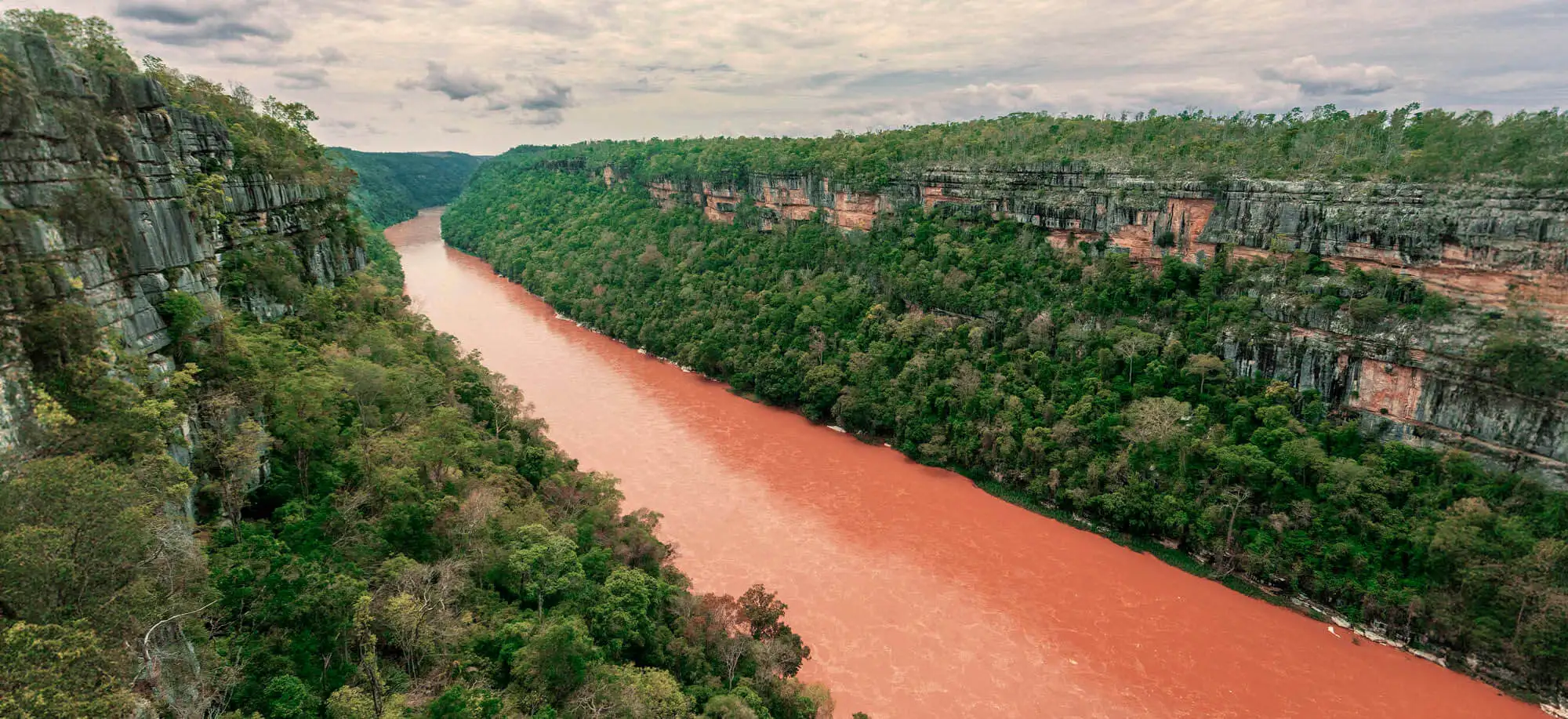 image-viajar-a-madagascar-tsingys-de-bemaraha-g-3.webp - Pangea Viajes