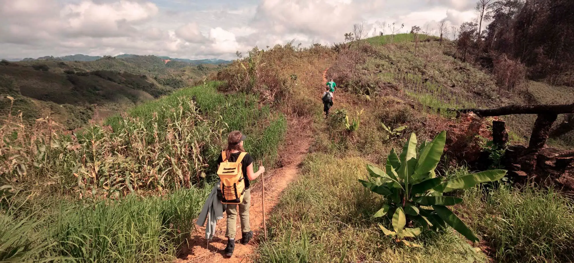 image-viajar-a-malasia-borneo-g-1.webp - Pangea Viajes