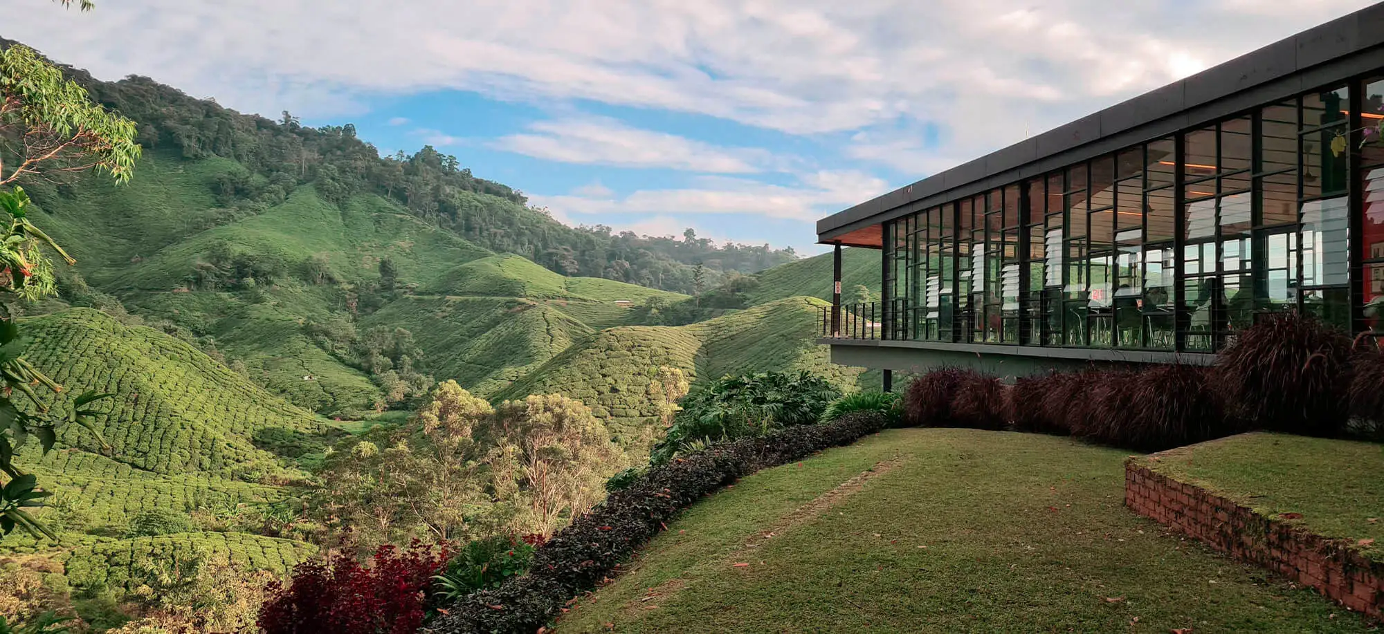 image-viajar-a-malasia-cameron-highlands-g-2.webp - Pangea Viajes