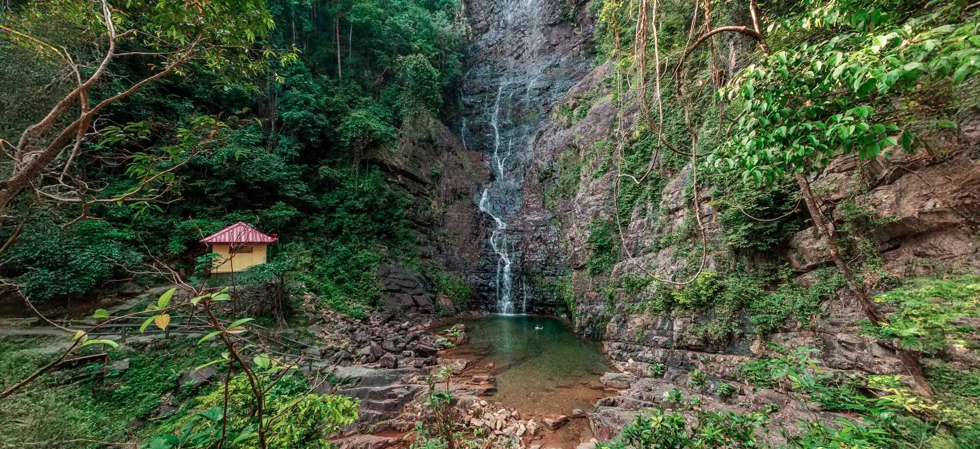 image-viajar-a-malasia-langkawi-g-3.webp - Pangea Viajes