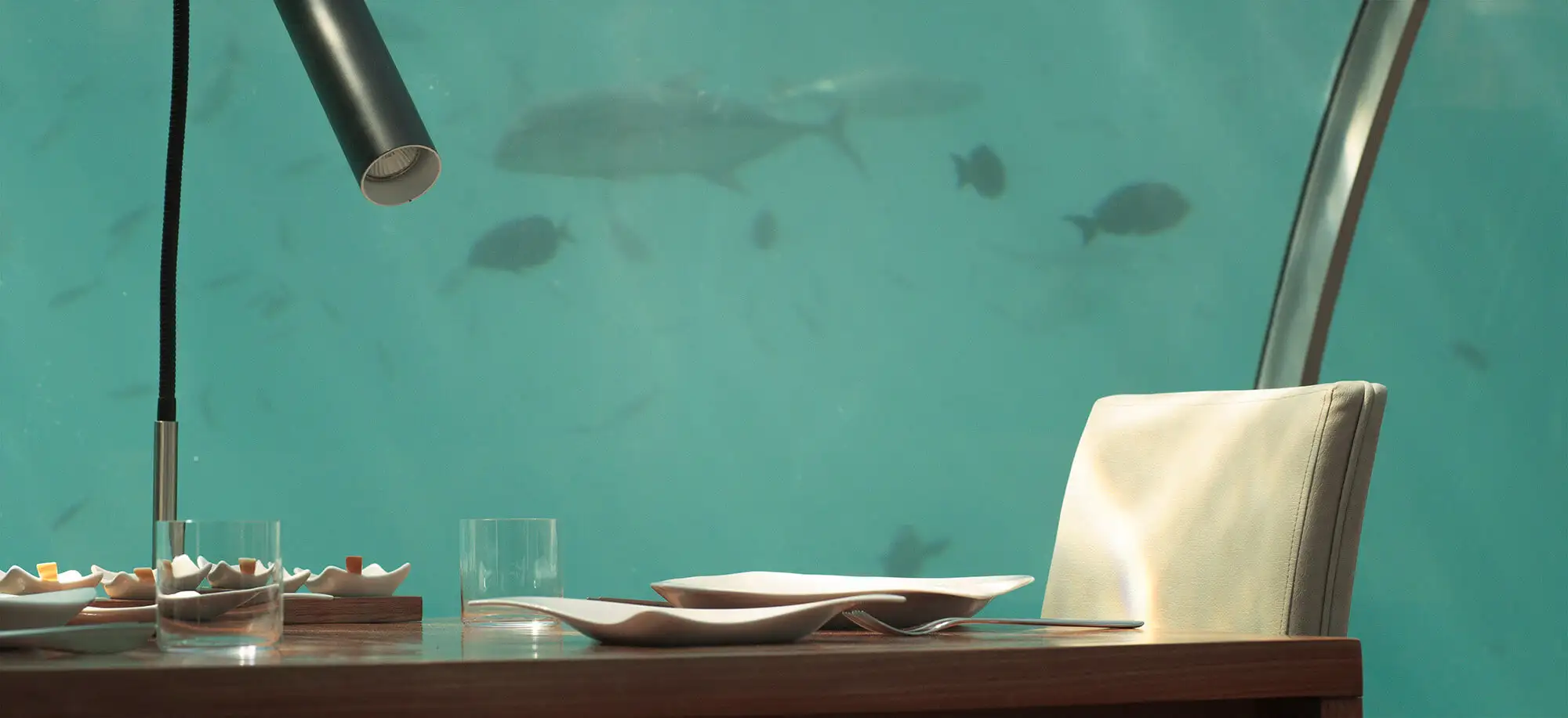 image-viajar-a-maldives-you&me-maldives-g1.webp - Pangea Viajes