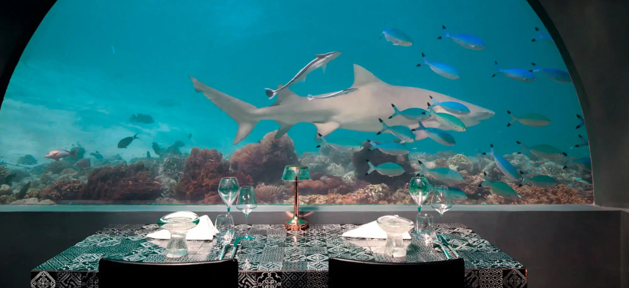 image-viajar-a-maldives-you&me-maldives-g2.webp - Pangea Viajes