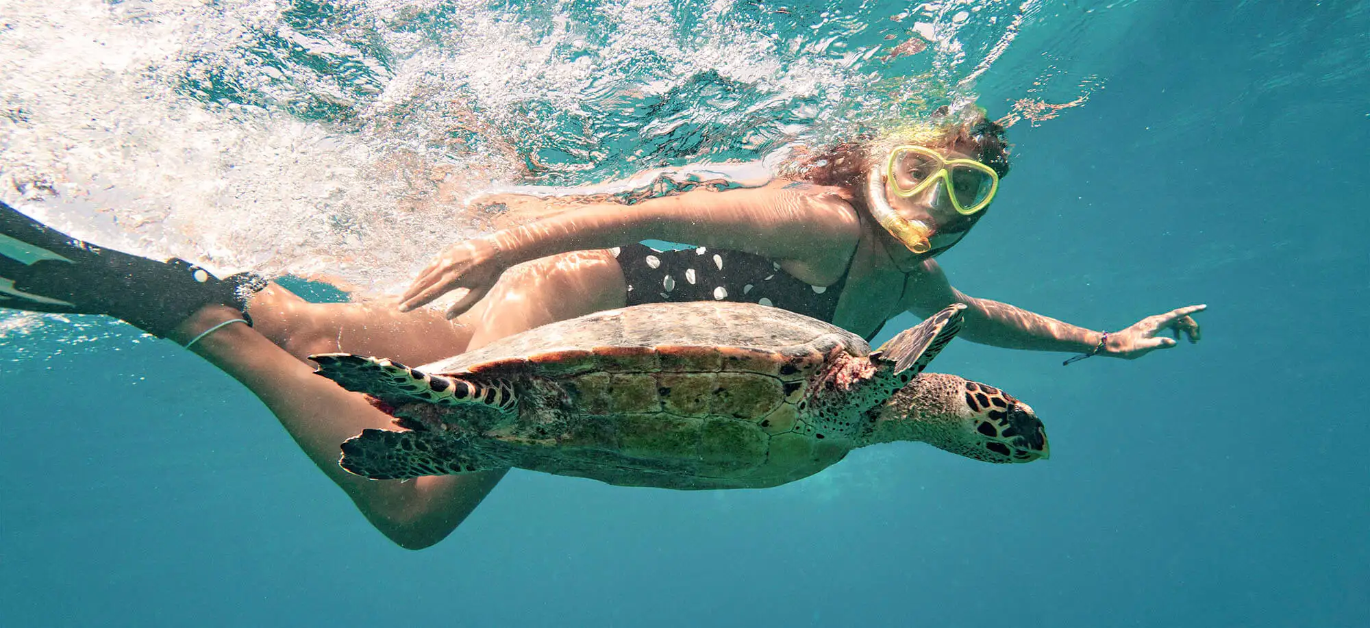 image-viajar-a-maldives-you&me-maldives-g3.webp - Pangea Viajes