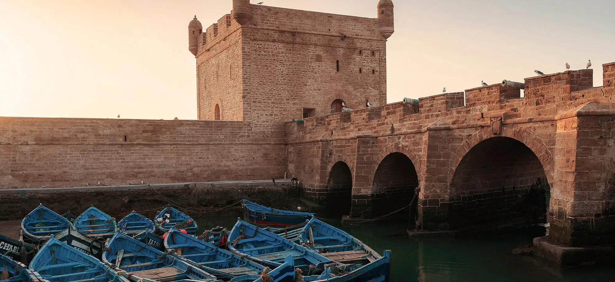 Viatges a Essaouira