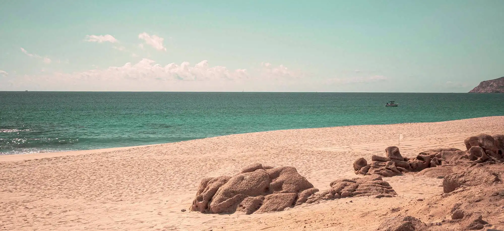 image-viajar-a-mexico-baja-california-g3.webp - Pangea Viajes