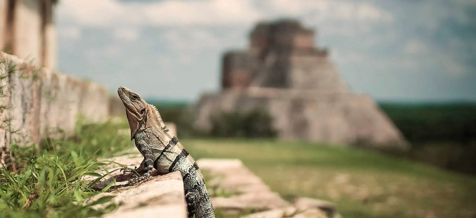 image-viajar-a-mexico-chichen-itza-g3.webp - Pangea Viajes