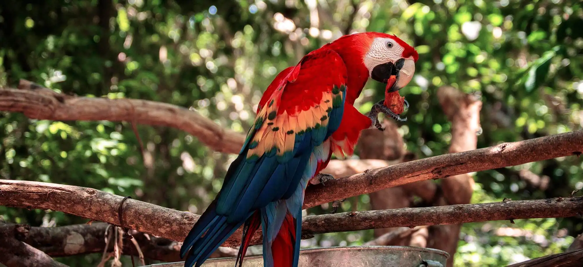 image-viajar-a-mexico-palenque-g2.webp - Pangea Viajes