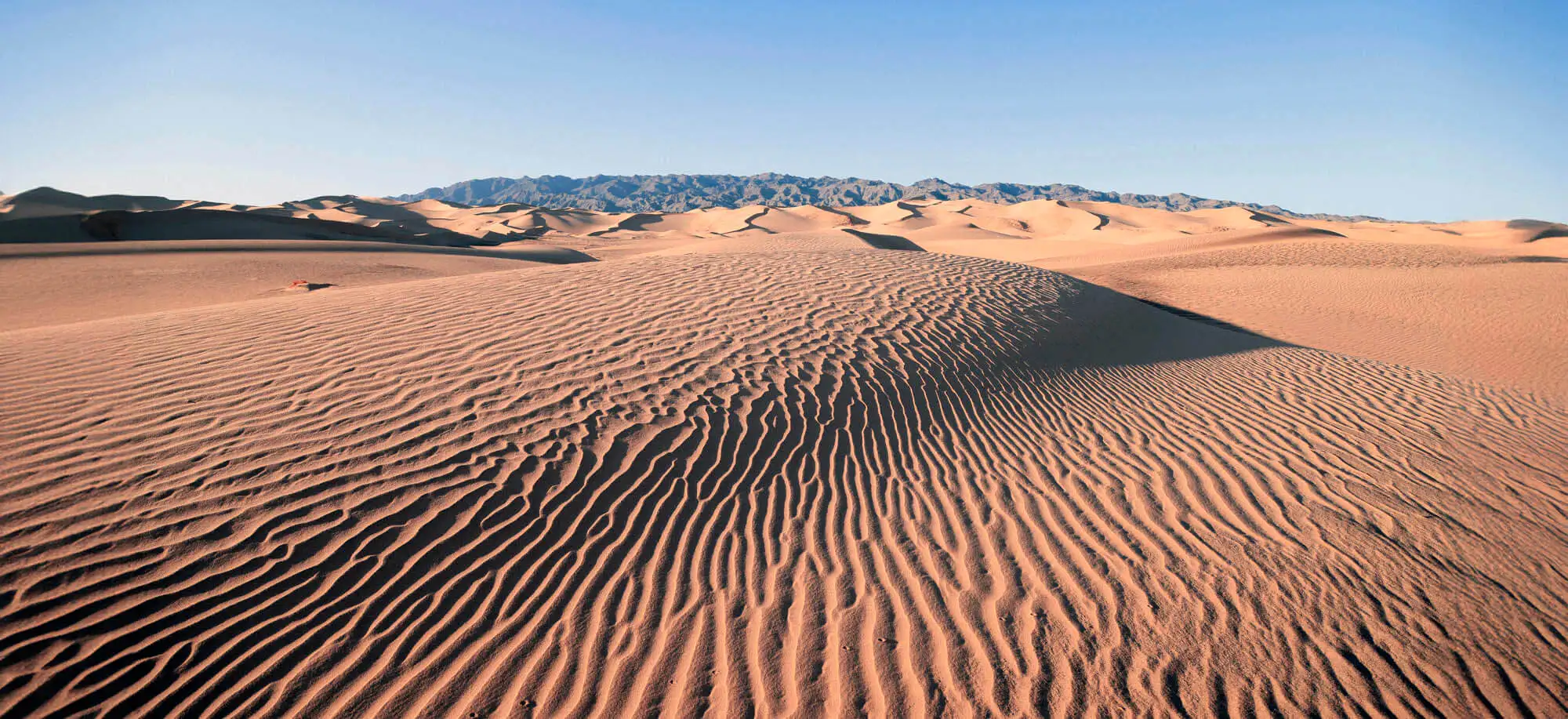 image-viajar-a-mongolia-dunas-de-arena-khongoryn-g-3.webp - Pangea Viajes