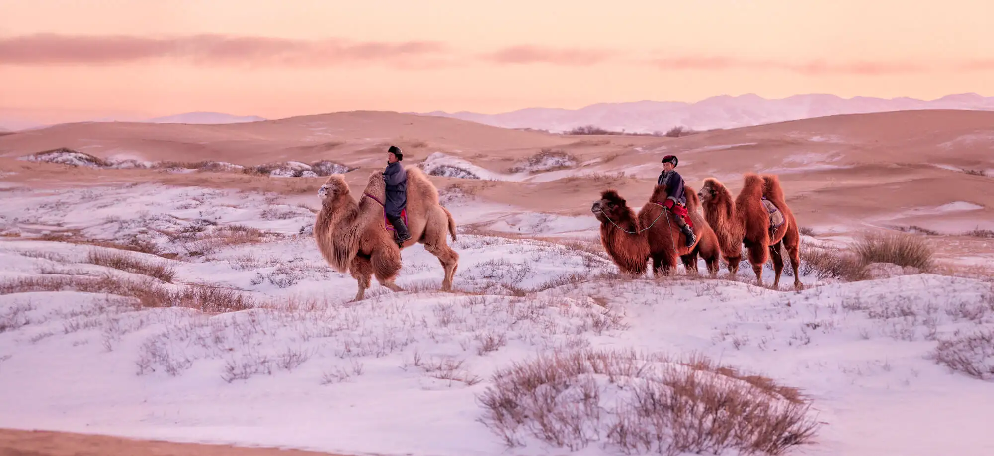 Viatges al Desert del Gobi