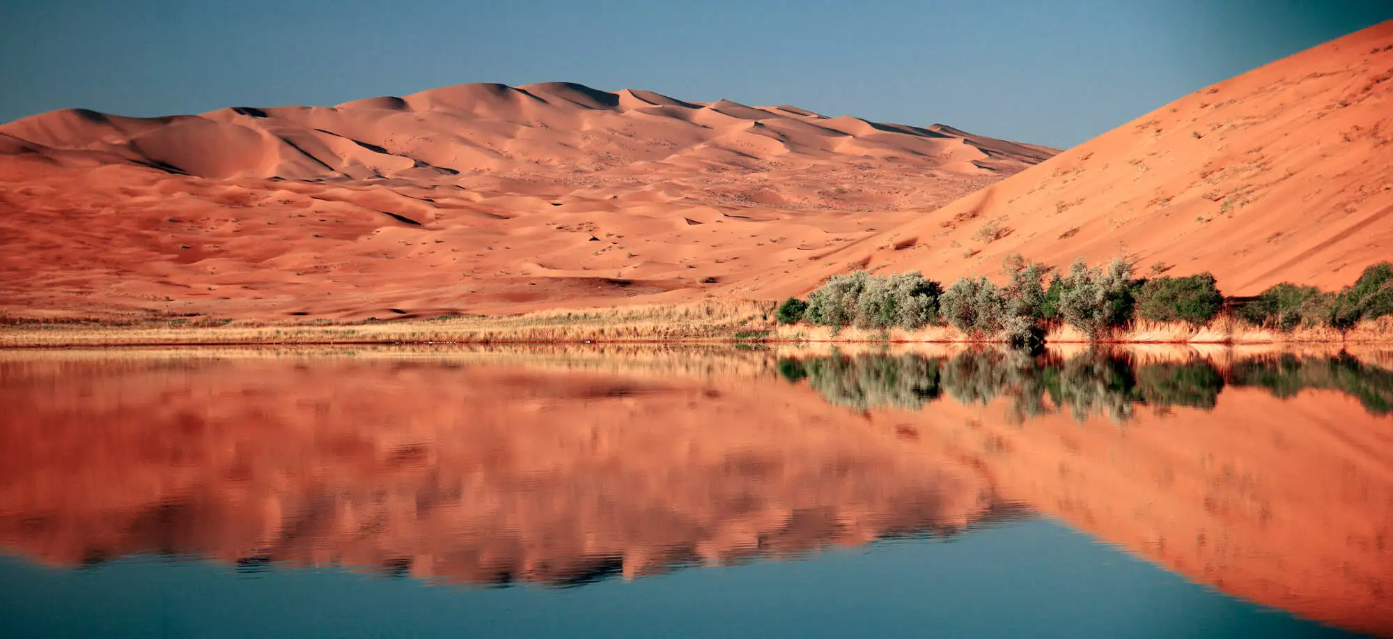 image-viajar-a-mongolia-el-desierto-de-gobi-g-2.webp - Pangea Viajes