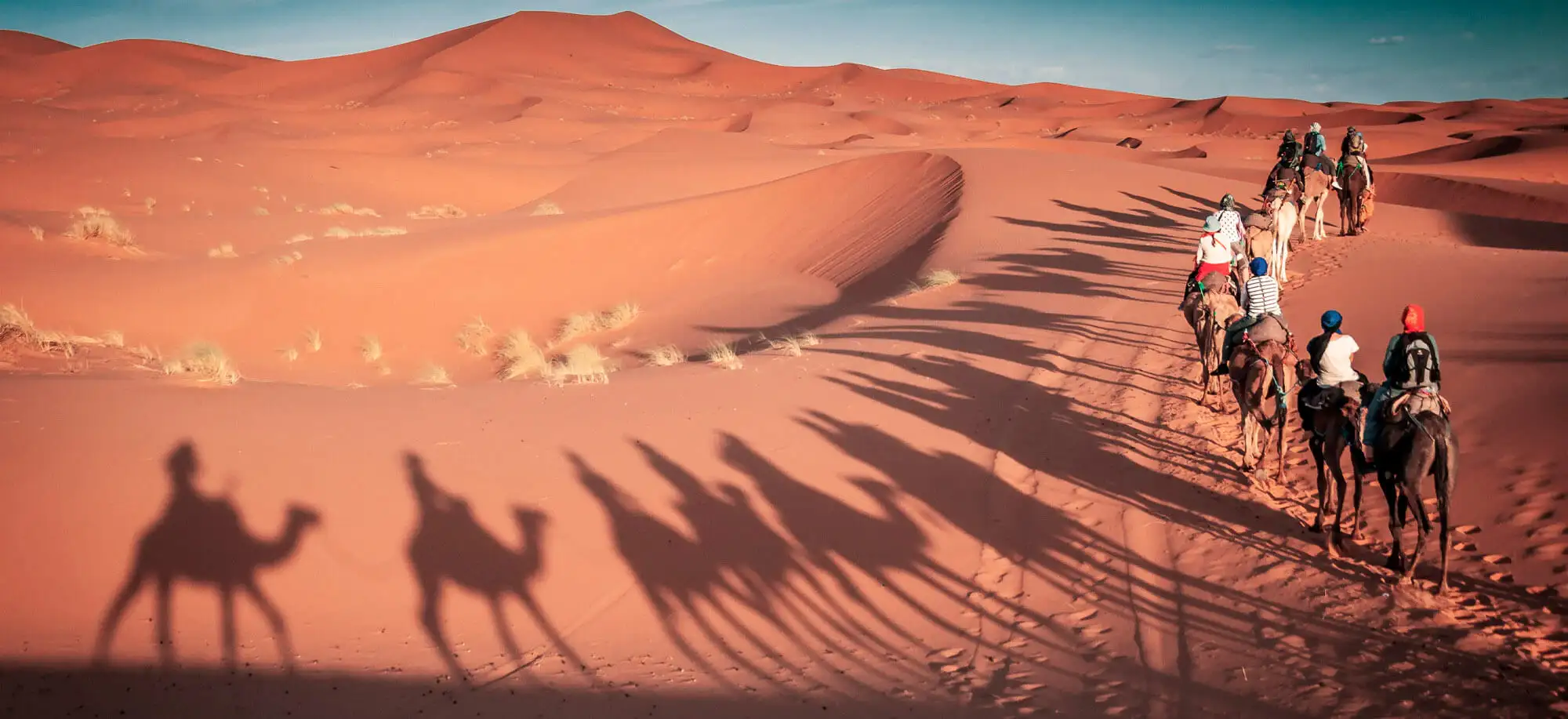 image-viajar-a-mongolia-el-desierto-de-gobi-g-3.webp - Pangea Viajes