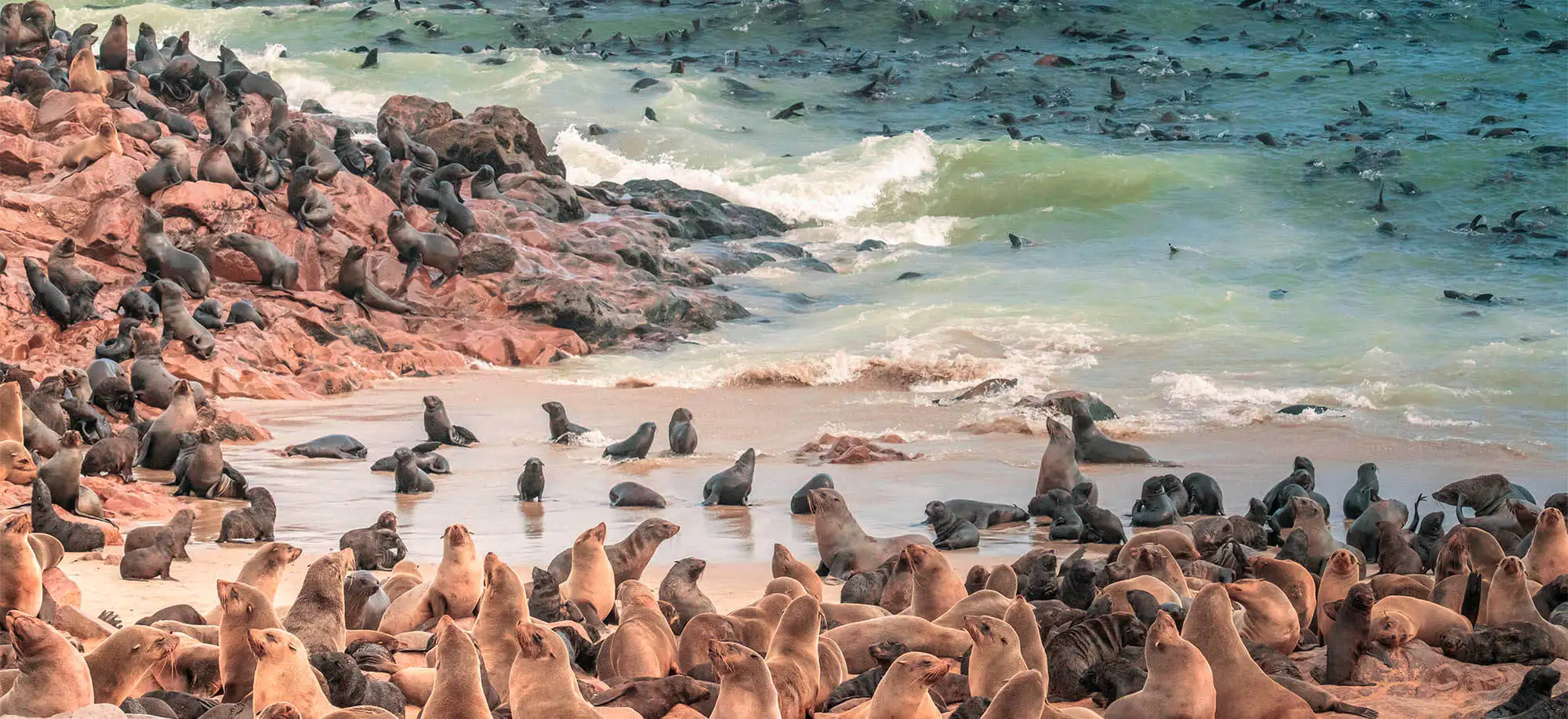 image-viajar-a-namibia-costa-de-los-esqueletos-g-1.webp - Pangea Viajes