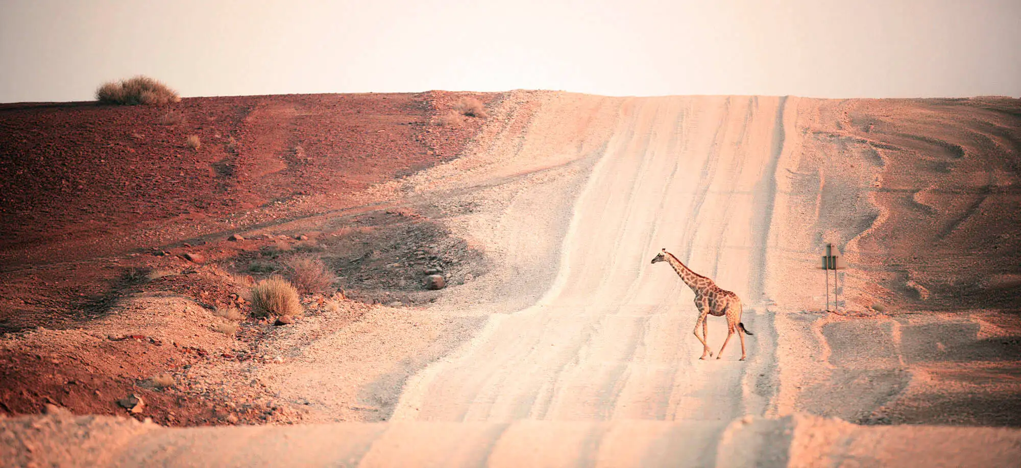 image-viajar-a-namibia-damaraland-g-2.webp - Pangea Viajes