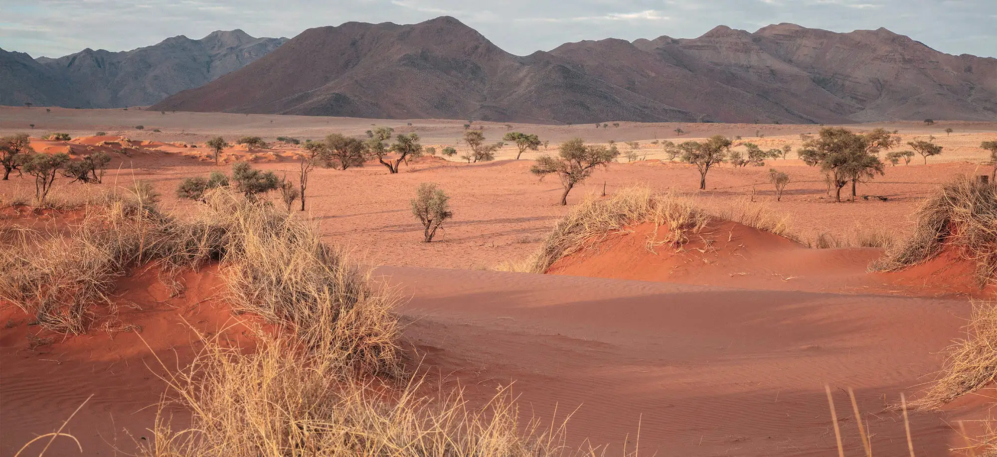 Viatges al desert del Namib