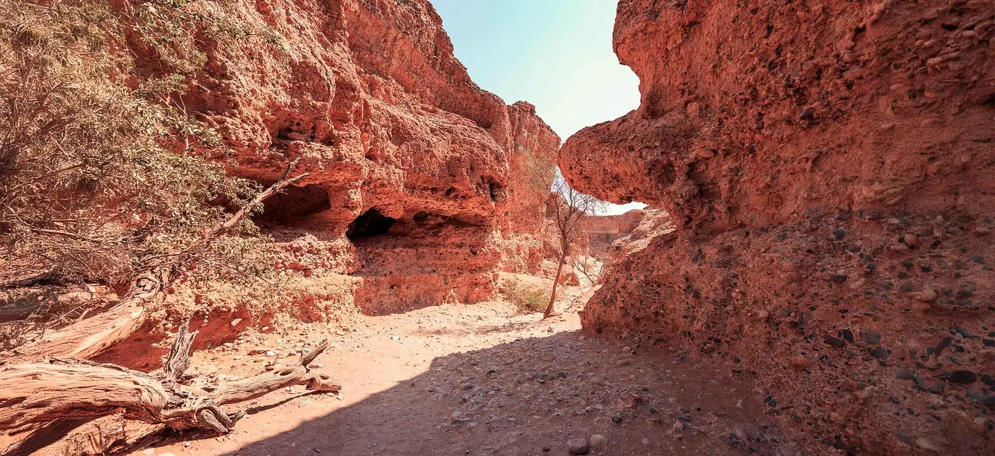 image-viajar-a-namibia-desierto-de-namib-g-2.webp - Pangea Viajes