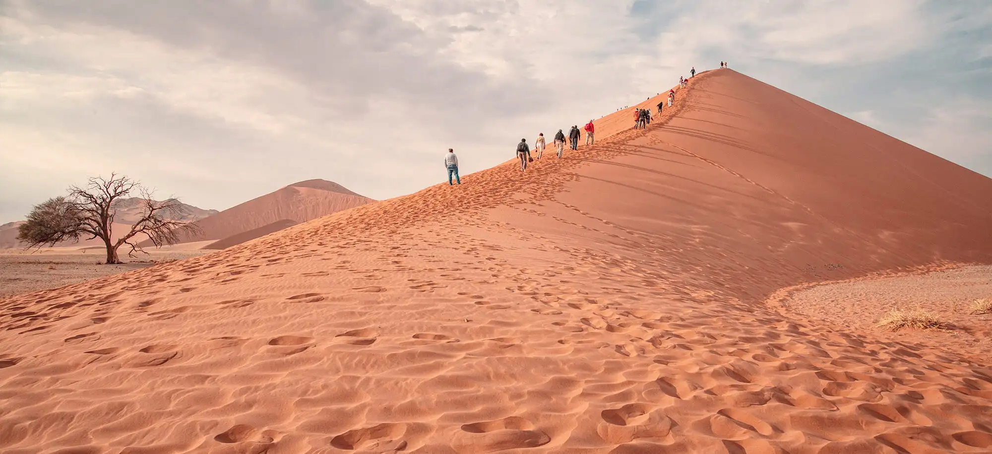 Viatges a les Dunes de Sossusvlei