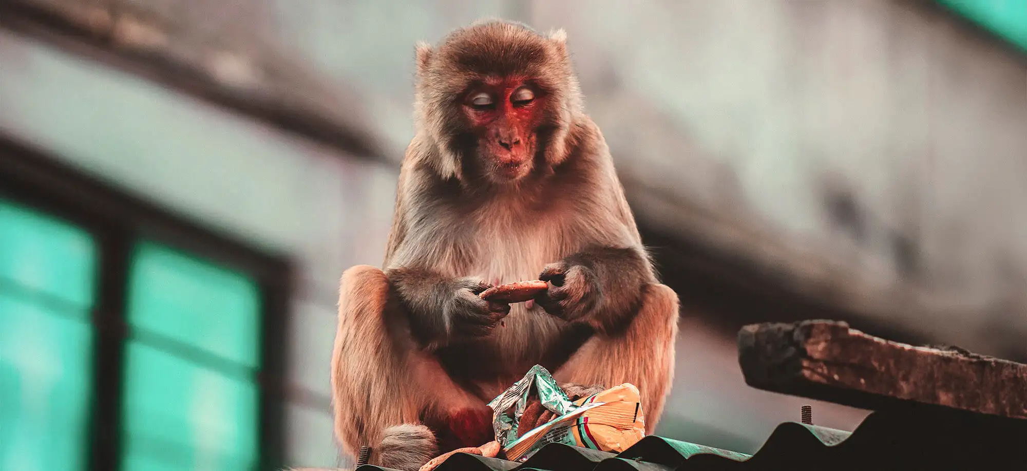 image-viajar-a-nepal-plaza-durbar-g-1.webp - Pangea Viajes