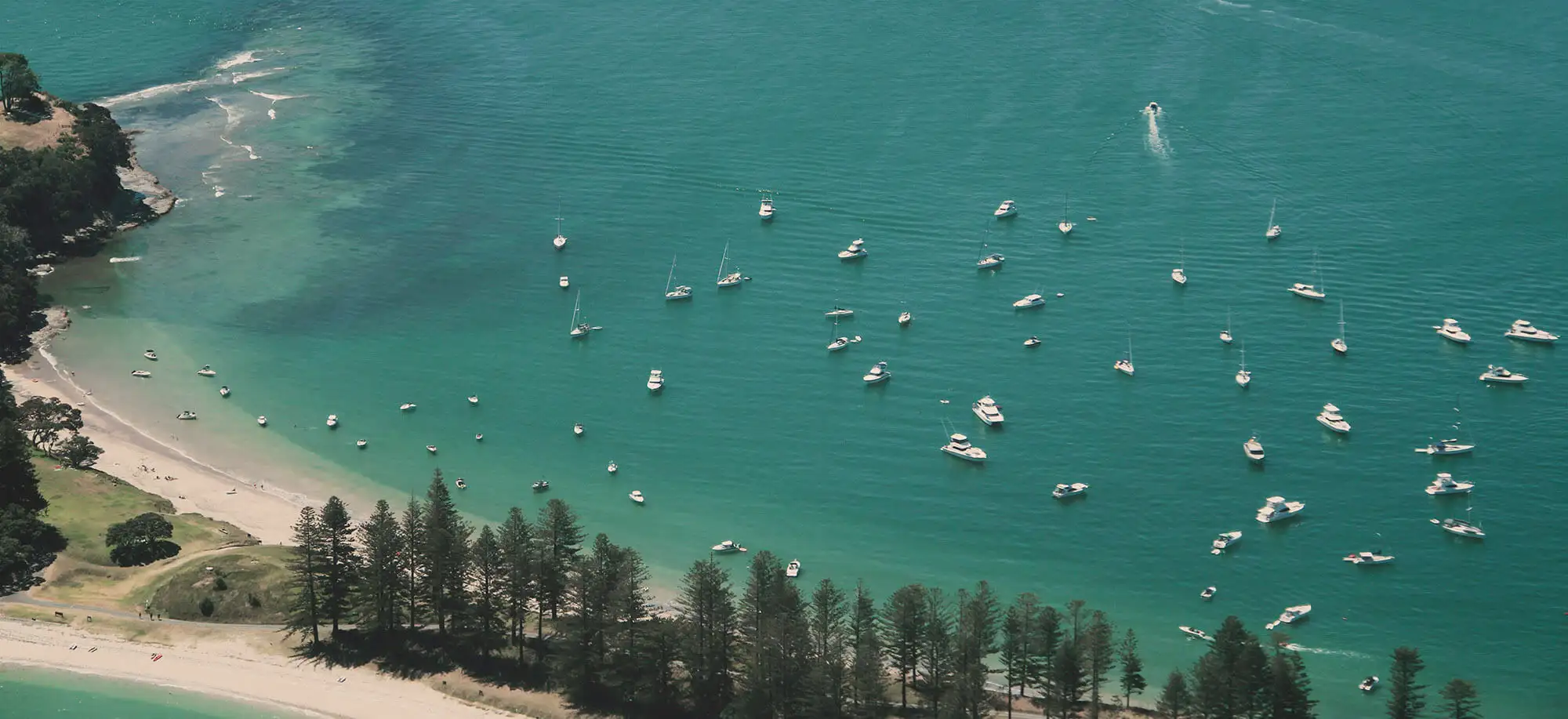 image-viajar-a-nueva-zelanda-auckland-g1.webp - Pangea Viajes