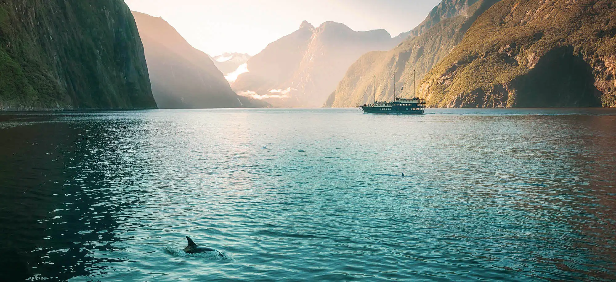 image-viajar-a-nueva-zelanda-fiordos-g3.webp - Pangea Viajes