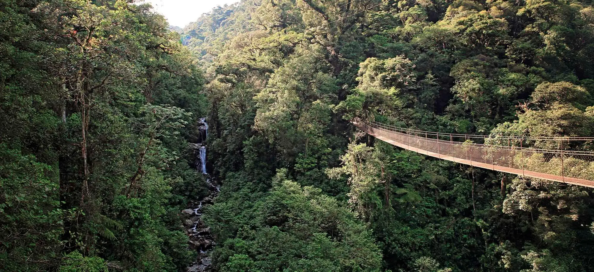 image-viajar-a-panamá-boqueteg-g-2.webp - Pangea Viajes