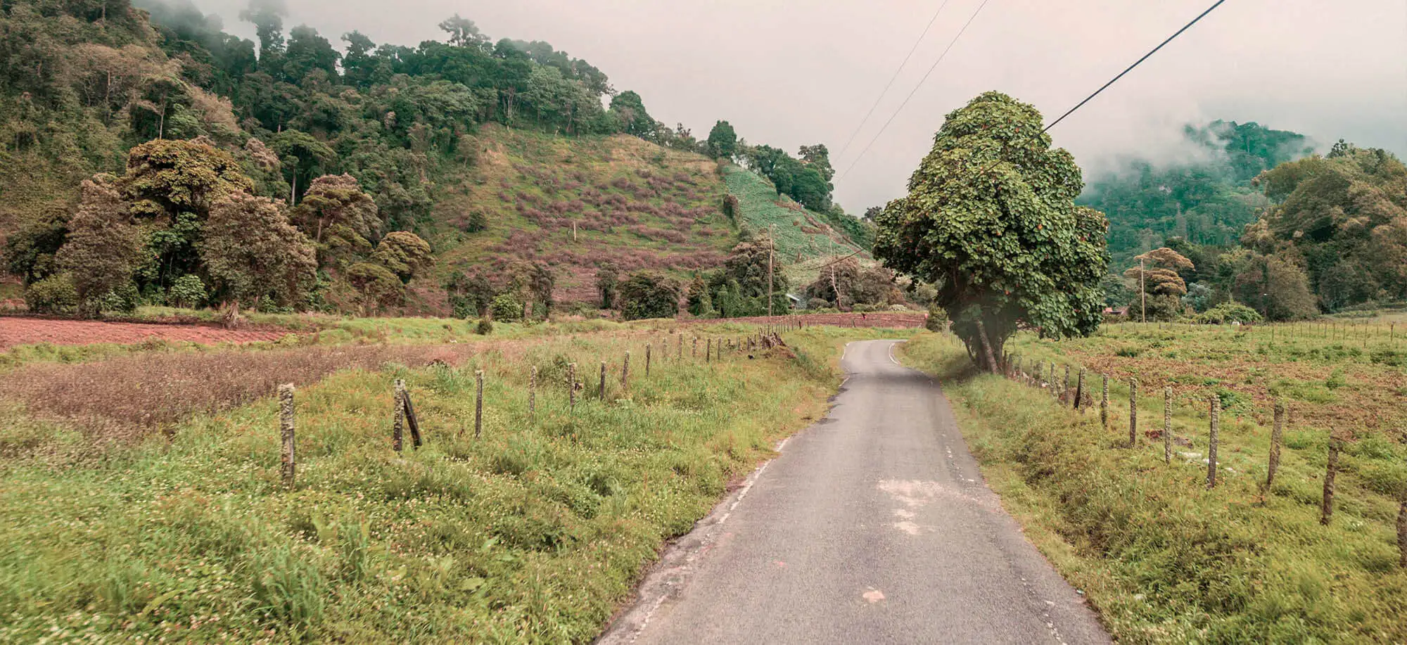 image-viajar-a-panamá-parque-nacional-volcán-barú-g-2.webp - Pangea Viajes
