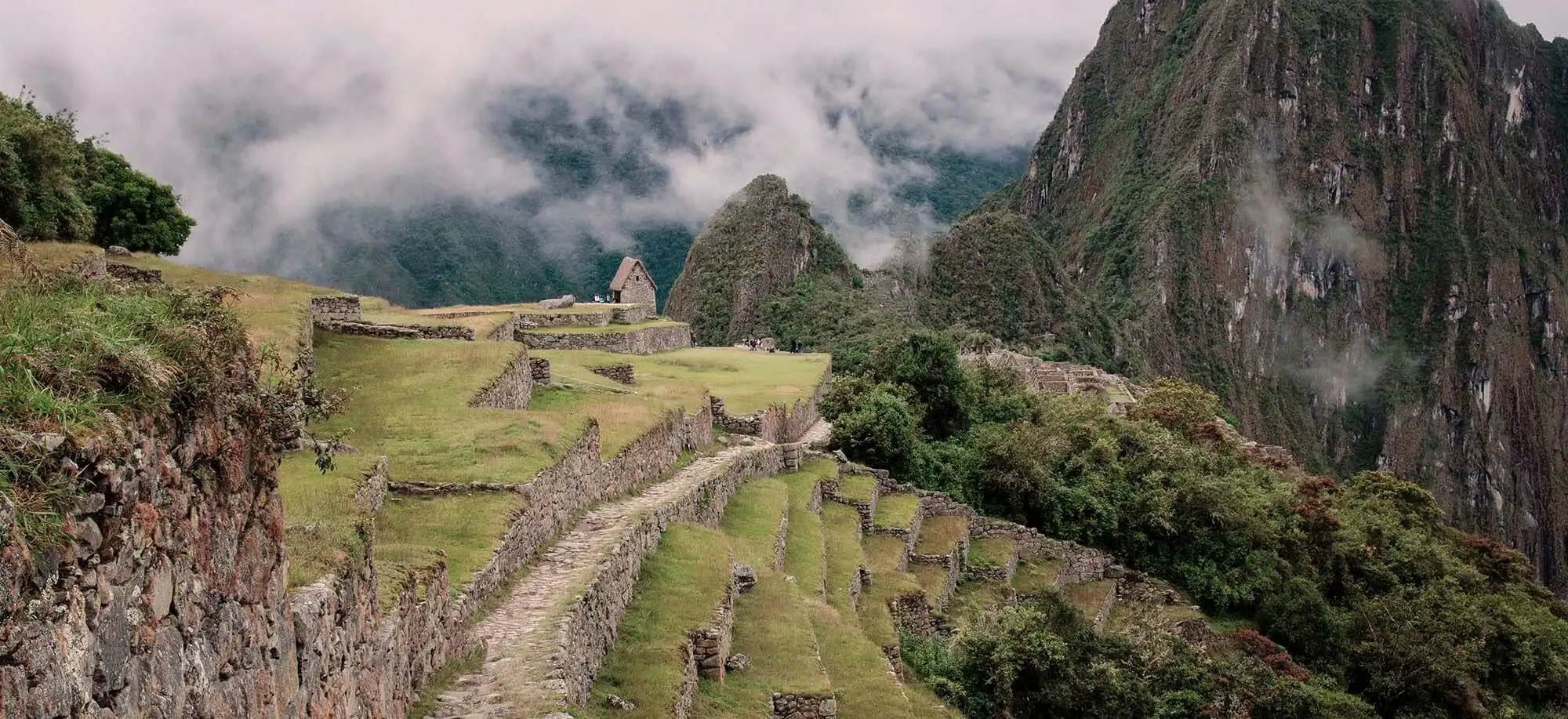 image-viajar-a-peru-camino-del-inca-g2.webp - Pangea Viajes