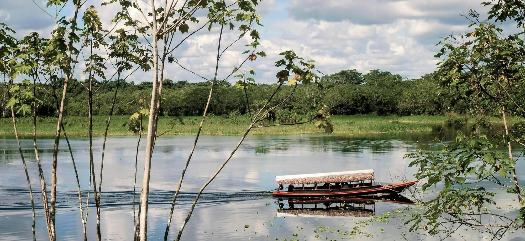 image-viajar-a-peru-selva-amazonica-g2.webp - Pangea Viajes