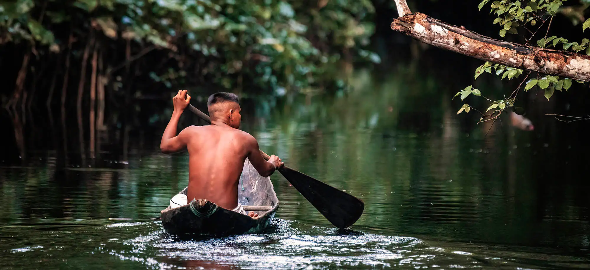image-viajar-a-peru-selva-amazonica-g3.webp - Pangea Viajes