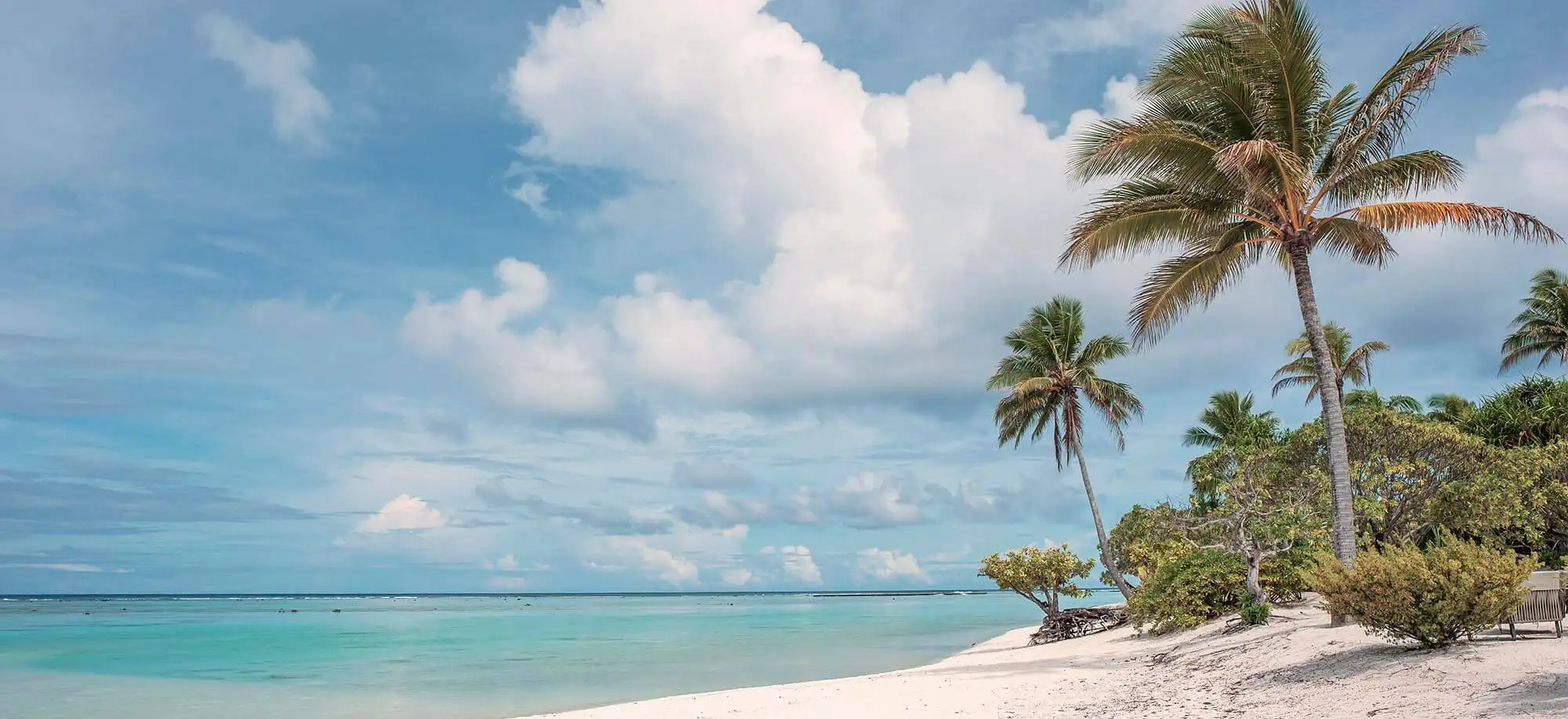 image-viajar-a-polinesia-francesa-tetiaora-g3.webp - Pangea Viajes