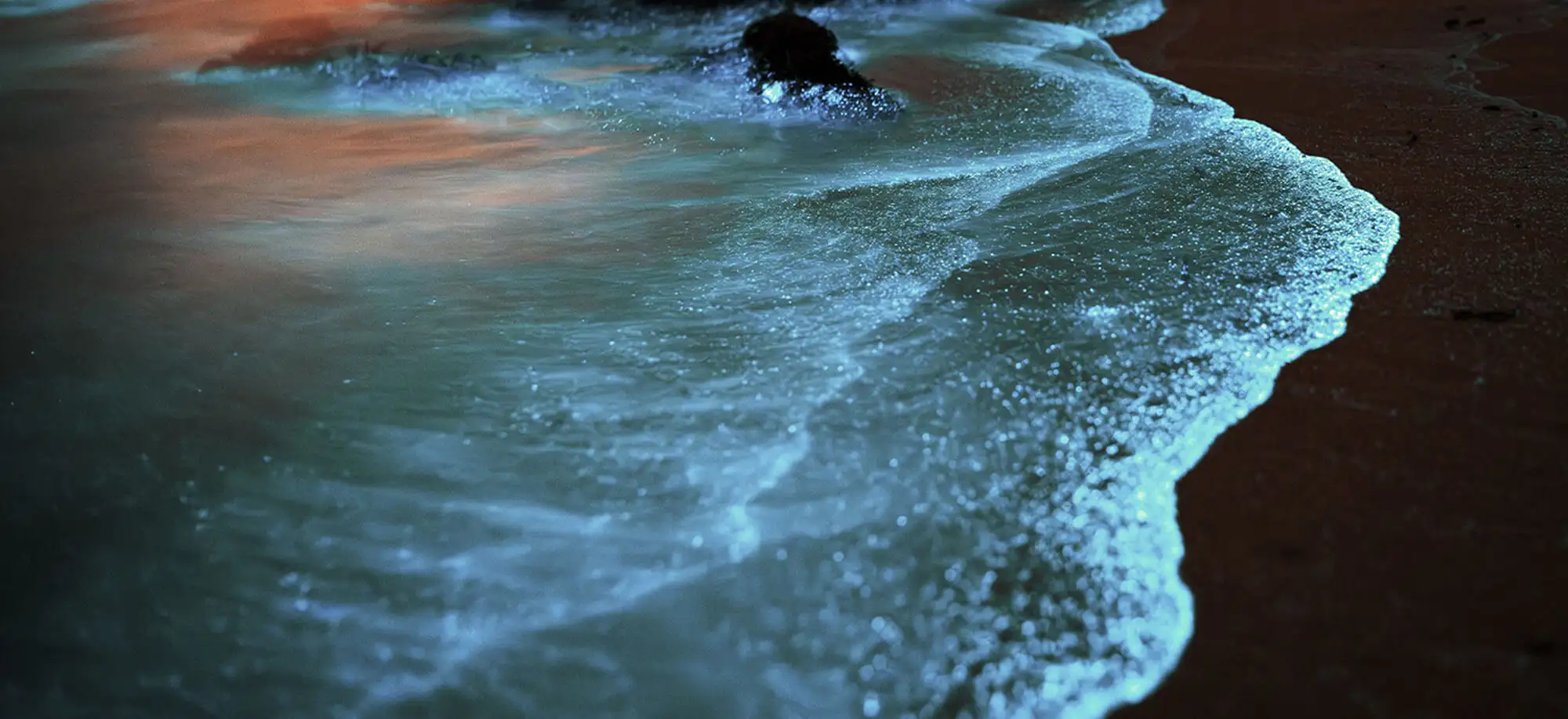 Viatges a les Llacunes Bioluminescents