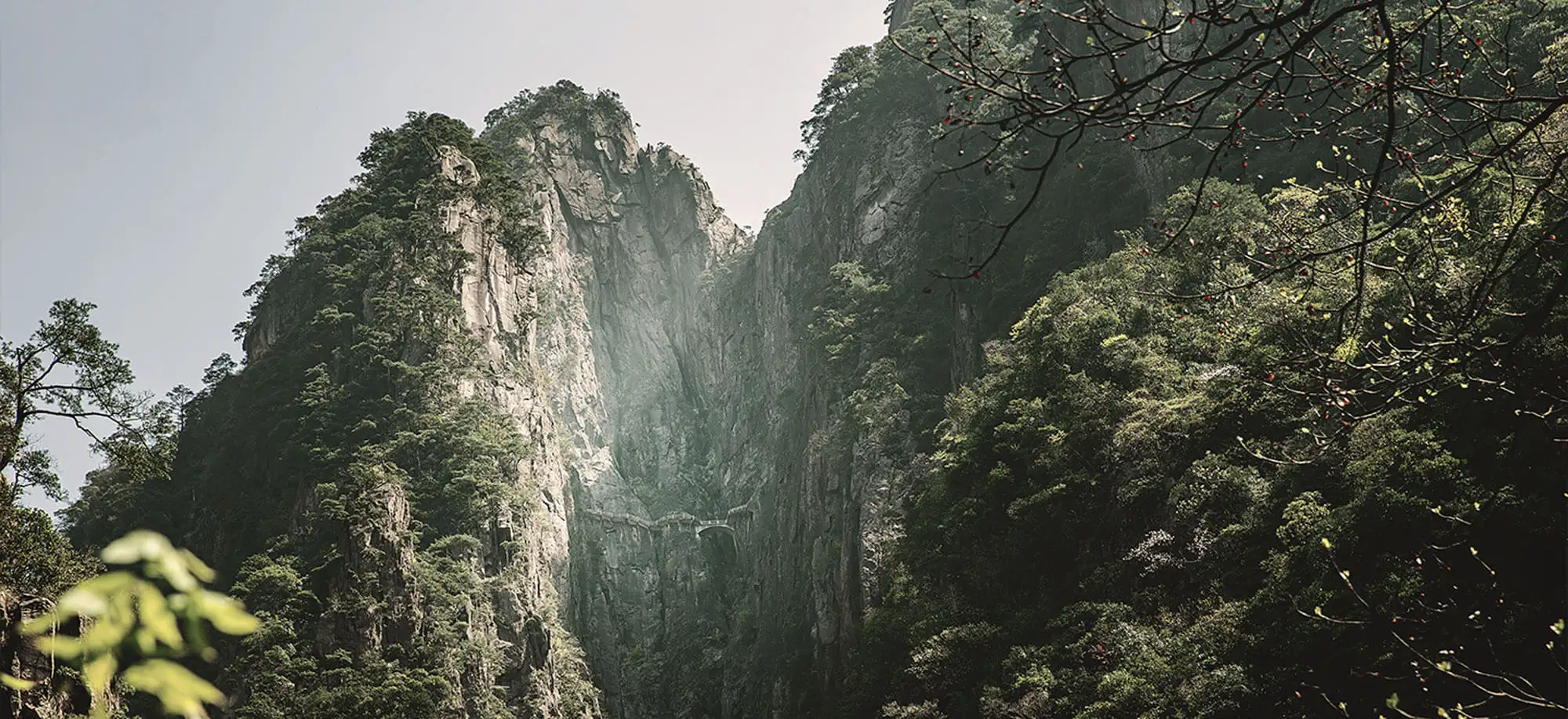 image-viajar-a-puerto rico-parque nacional el yunque-g-3.webp - Pangea Viajes