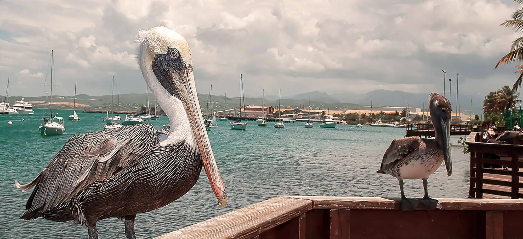 image-viajar-a-puerto rico-ponce-g-3.webp - Pangea Viajes
