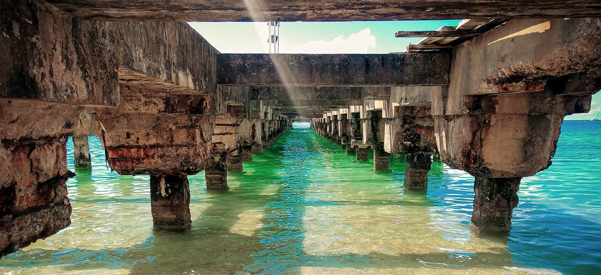 image-viajar-a-puerto rico-vieques-g-2.webp - Pangea Viajes