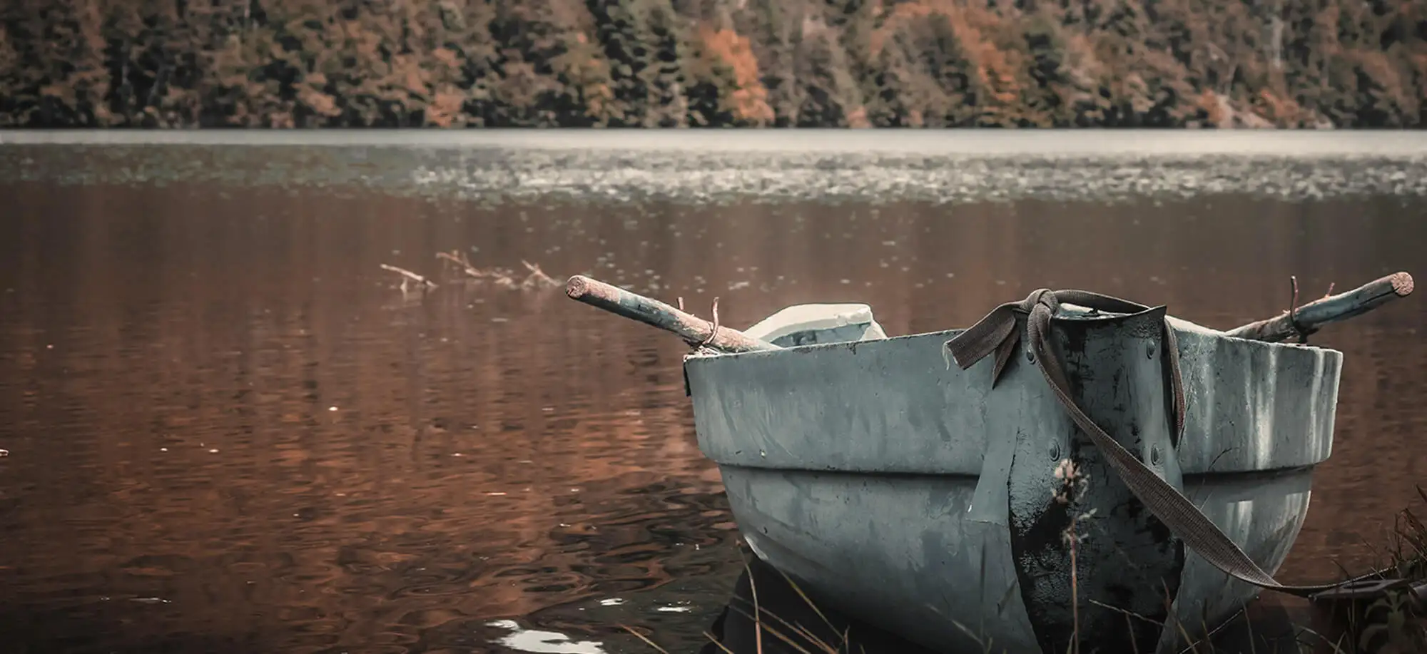 image-viajar-a-rumania-transilvania-g-3.webp - Pangea Viajes