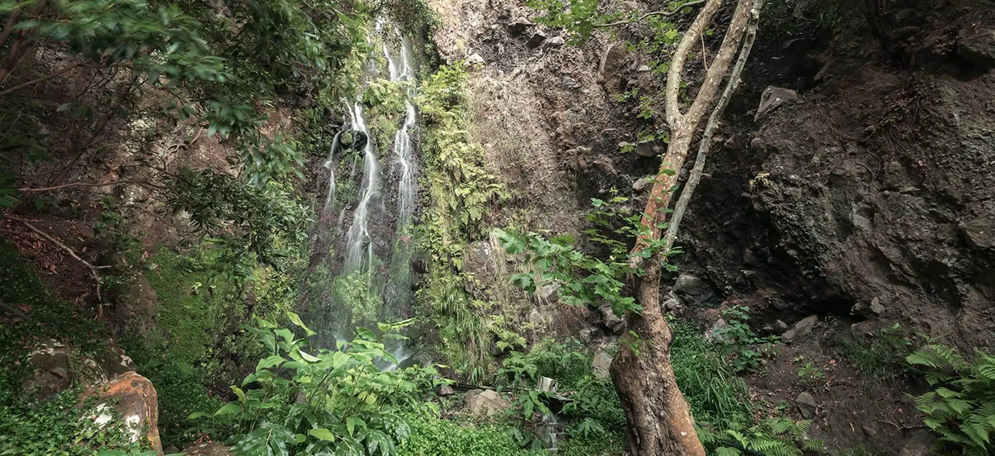 image-viajar-a-santo tome y principe-cascada de sao nicolau-g-2.webp - Pangea Viajes