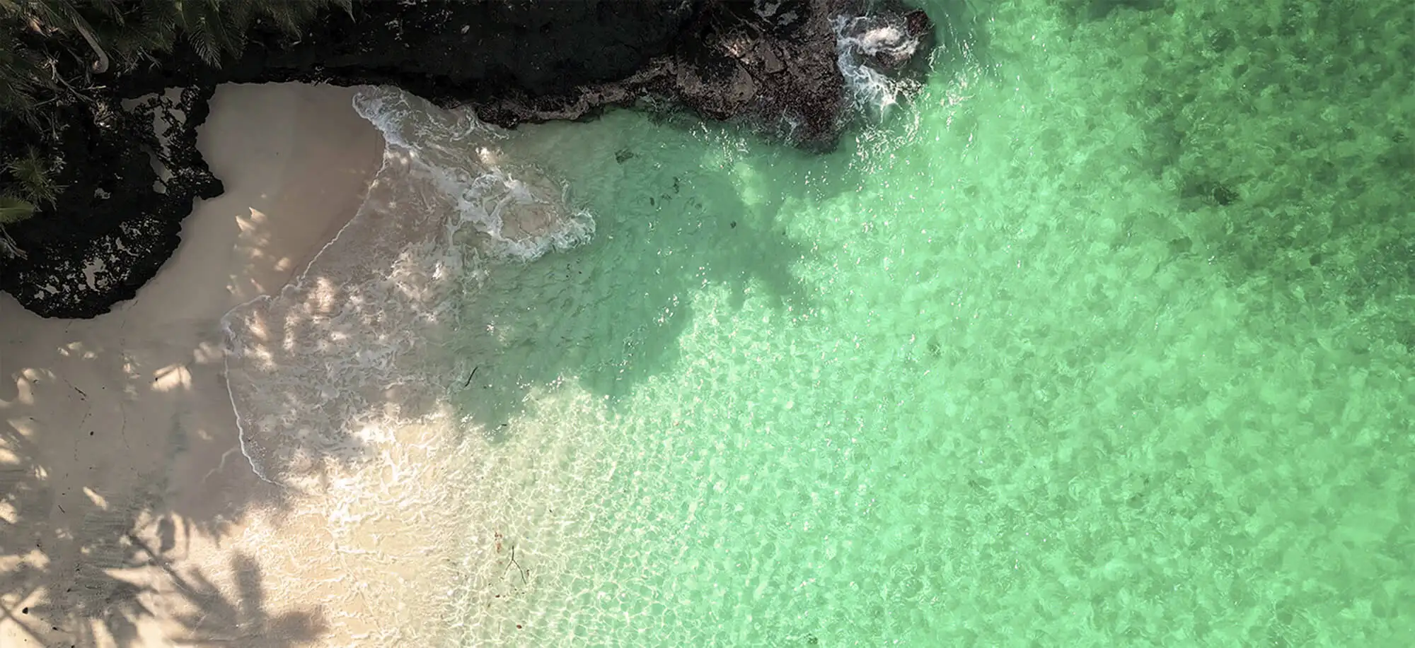 image-viajar-a-santo tome y principe-principe-g-1.webp - Pangea Viajes