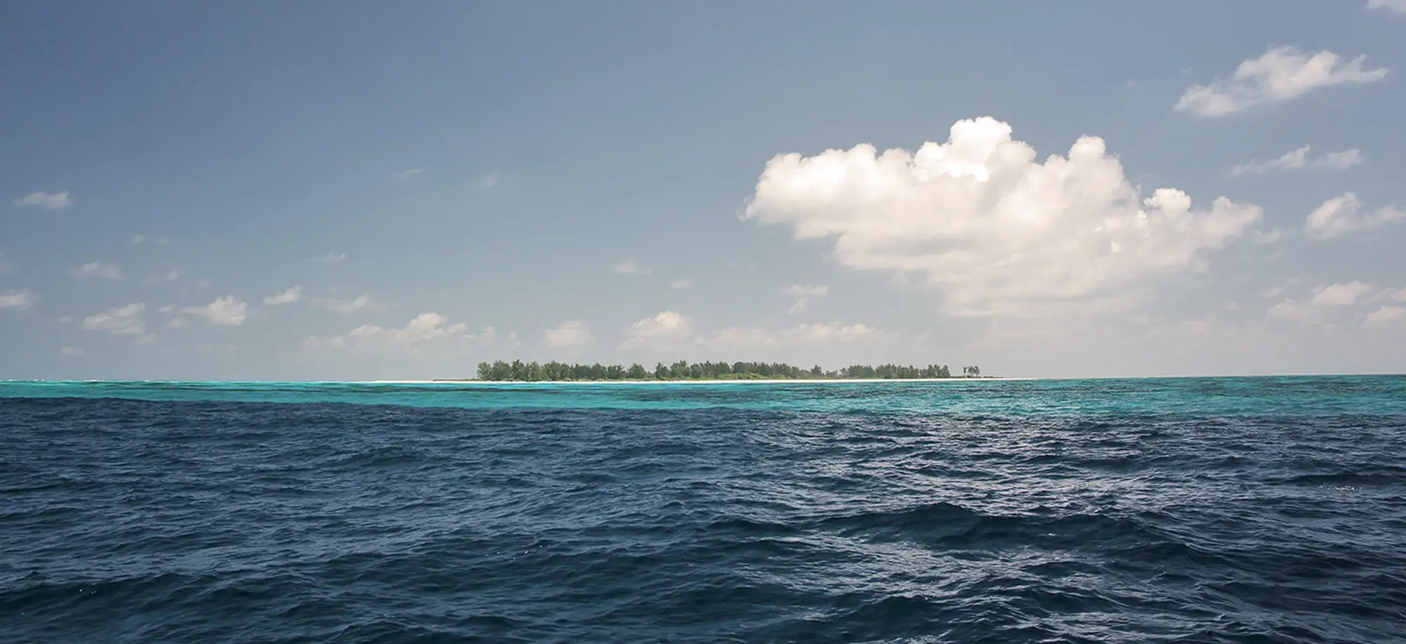 image-viajar-a-seychelles-Isla bird-g-2.webp - Pangea Viajes